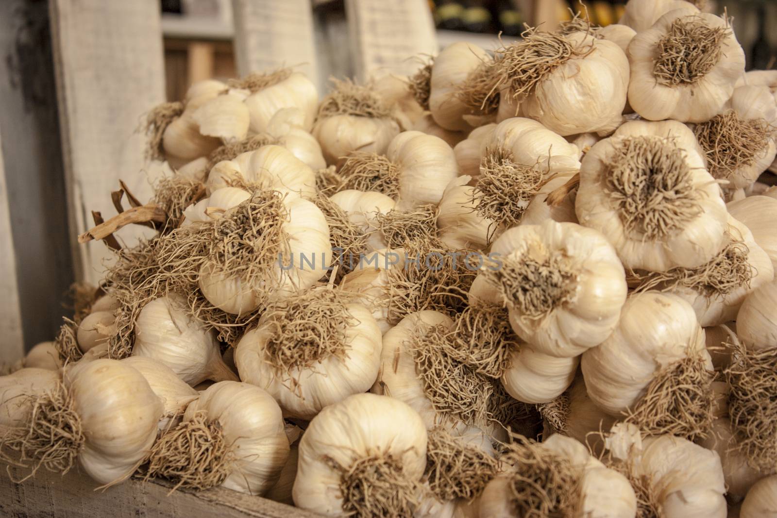 Garlic drying by pippocarlot