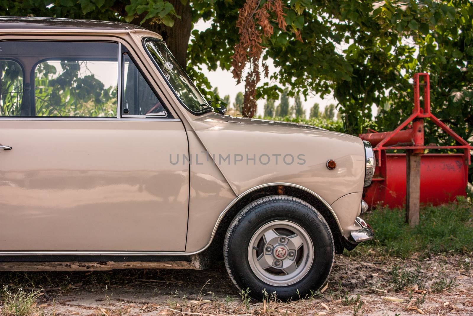 A Mini Minor: a small fully restored vintage subcompact car parked in the shade of some trees in a typical rural Italian scenery.