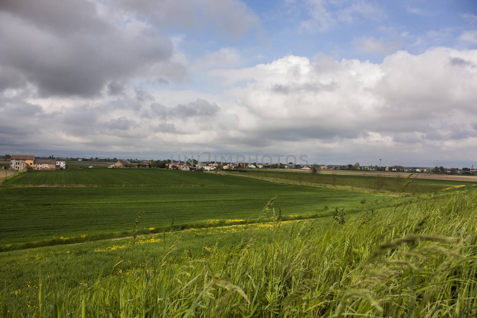 Italian countryside by pippocarlot