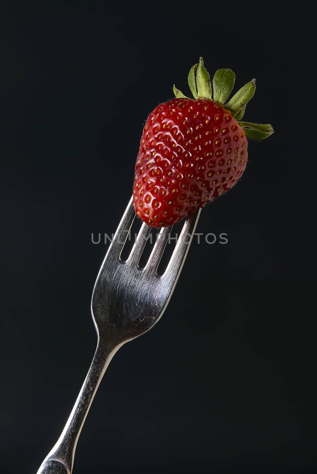 Strawberry stuck in a fork on a black background. Photo studio. Adapted to advertising campaigns.