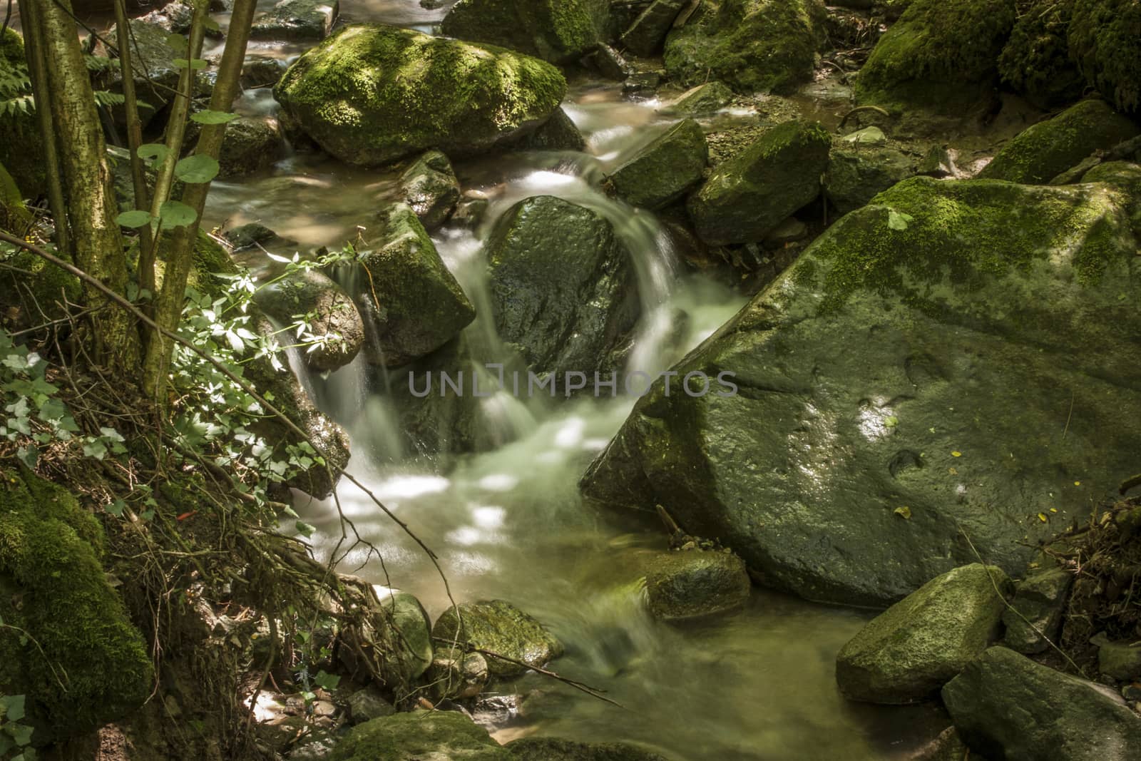 Small stream in a forest of northern Italy. Water flows through the rocks to get down. Schivanoia Falls, Teolo, Italy.