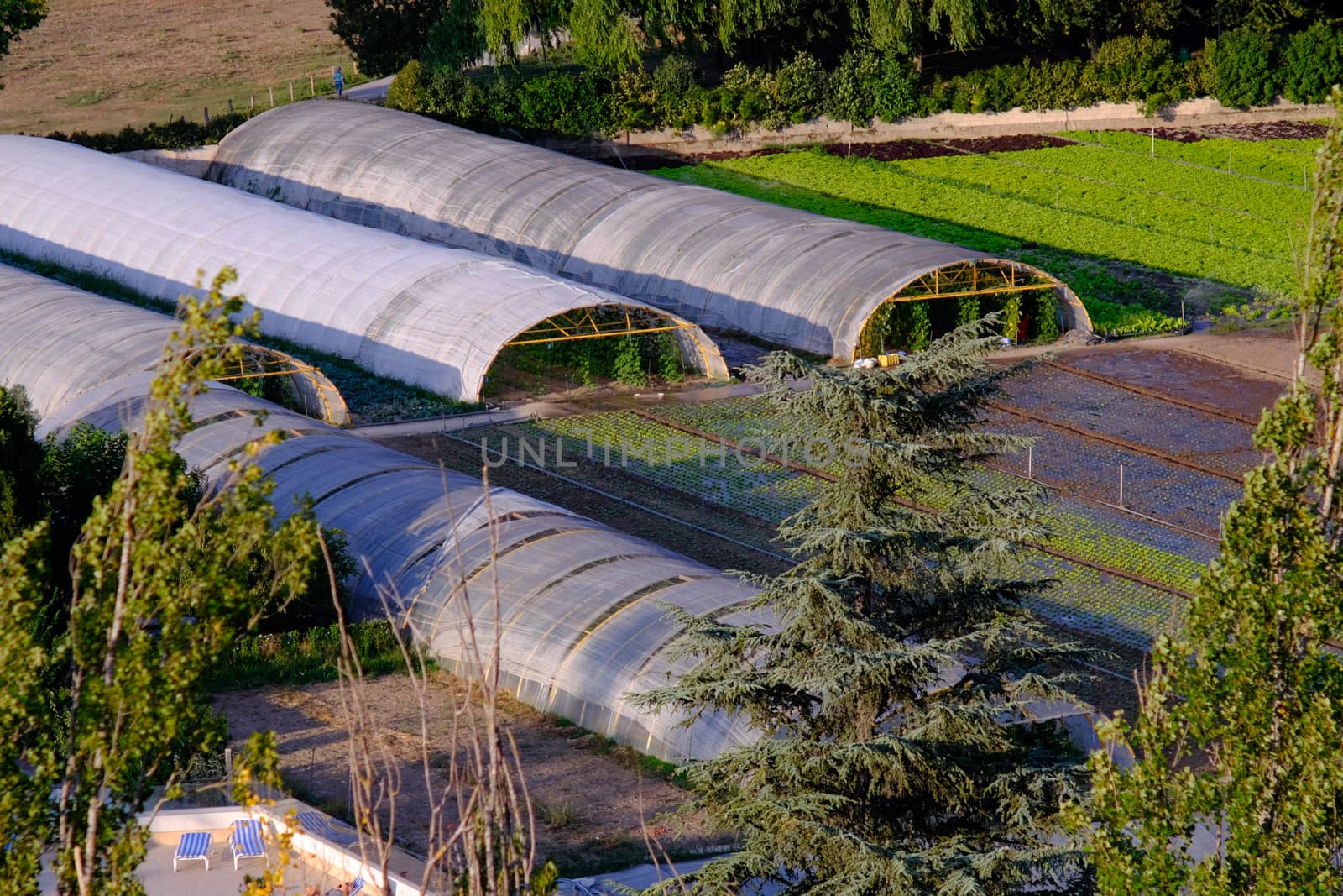 Greenhouses surrounded by green fields in Pamplona, Spain by mikelju