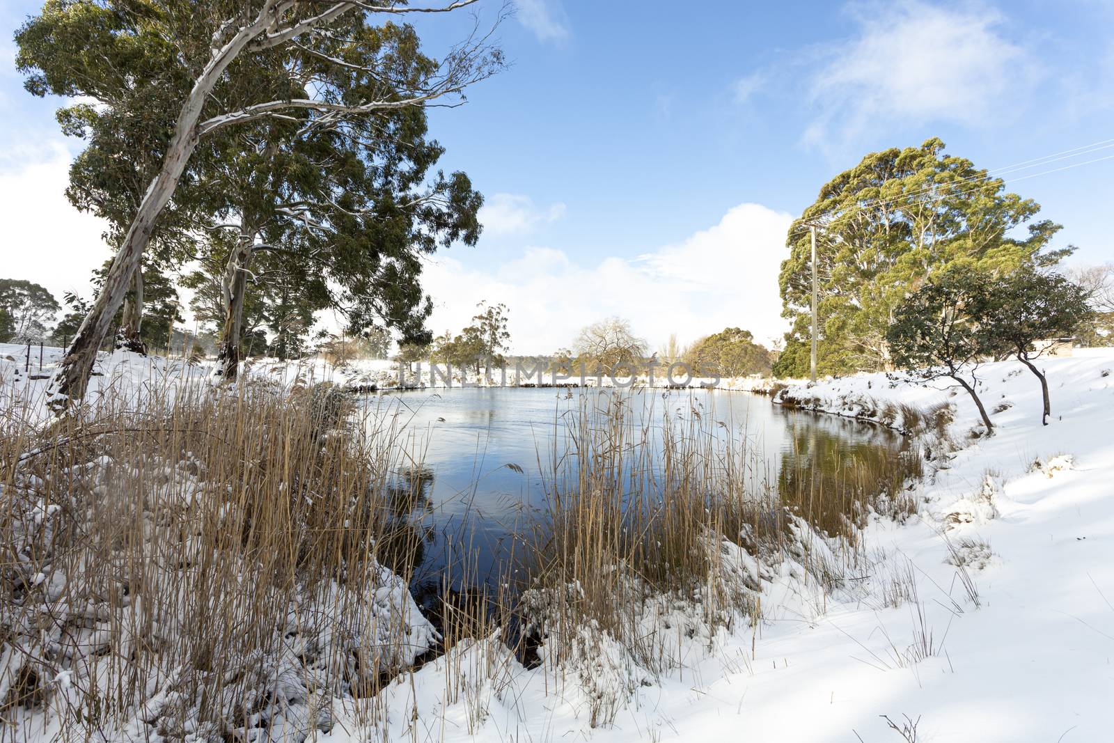 A snow covered field and watering hole or dam.  A brief break in clouds allows the sun to shine
