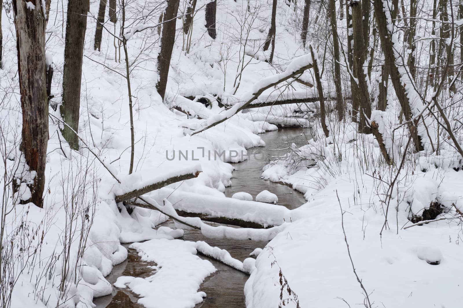 Trees covered with fresh snow in a cold and snowy winter day, and small forest river flowing under ice.