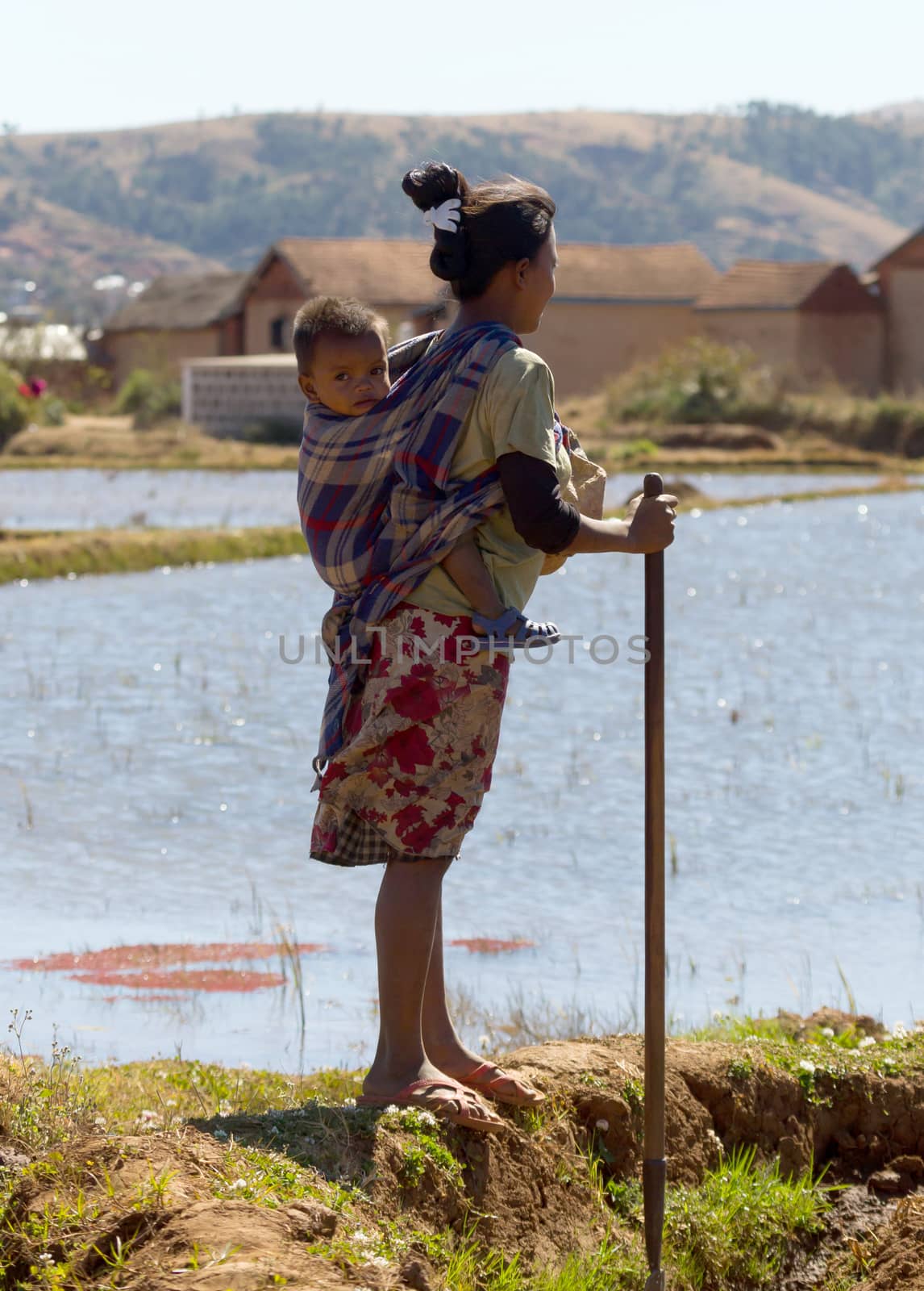 Fiadanana, Madagascar on july 26, 2019 - Woman with child working on a field in Madagascar. Food for over 25 million Malagasy people, Antsirabe, Madagascar