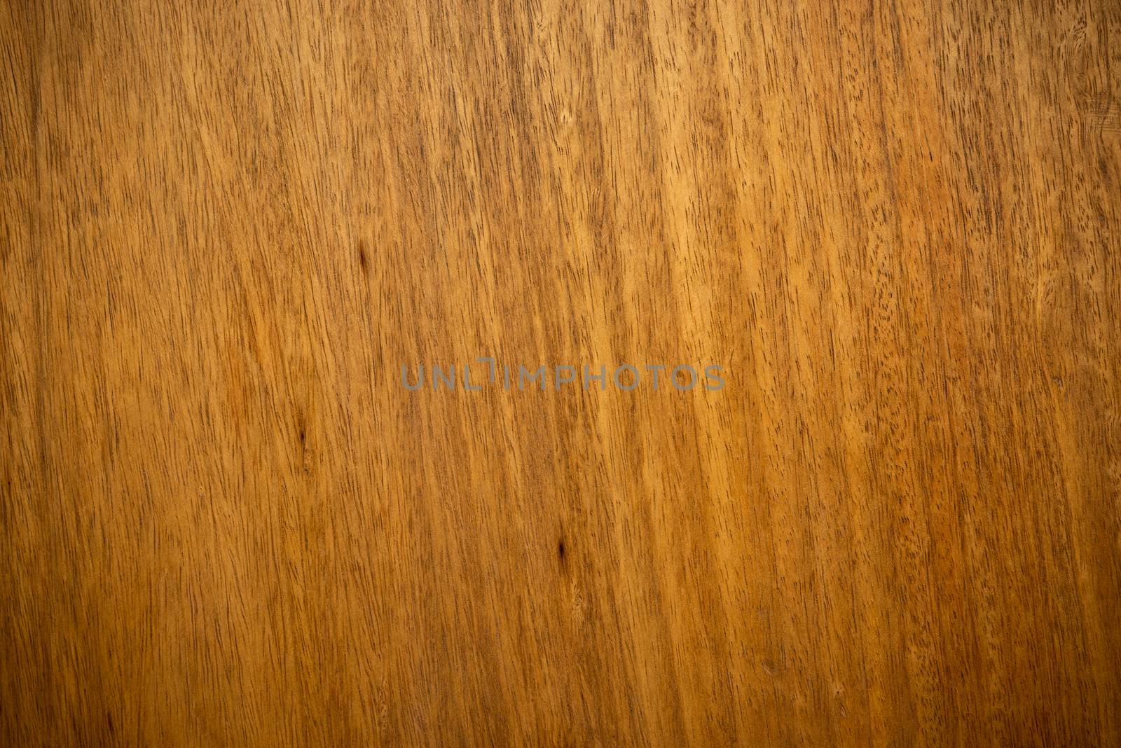 Closeup shot of mango wood texture