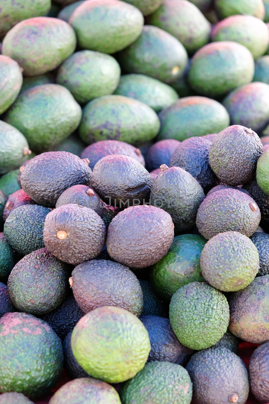 Heap of of green avocados by ponsulak