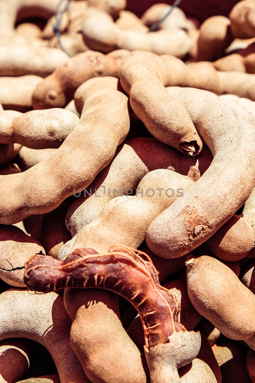 Close up of Tamarind fruit