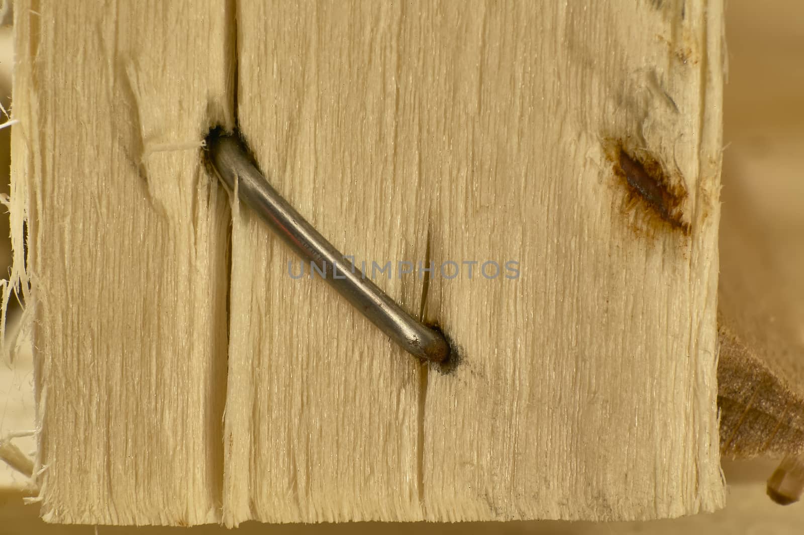 Magnifying an iron staple (nail) used to hold a wooden construction.