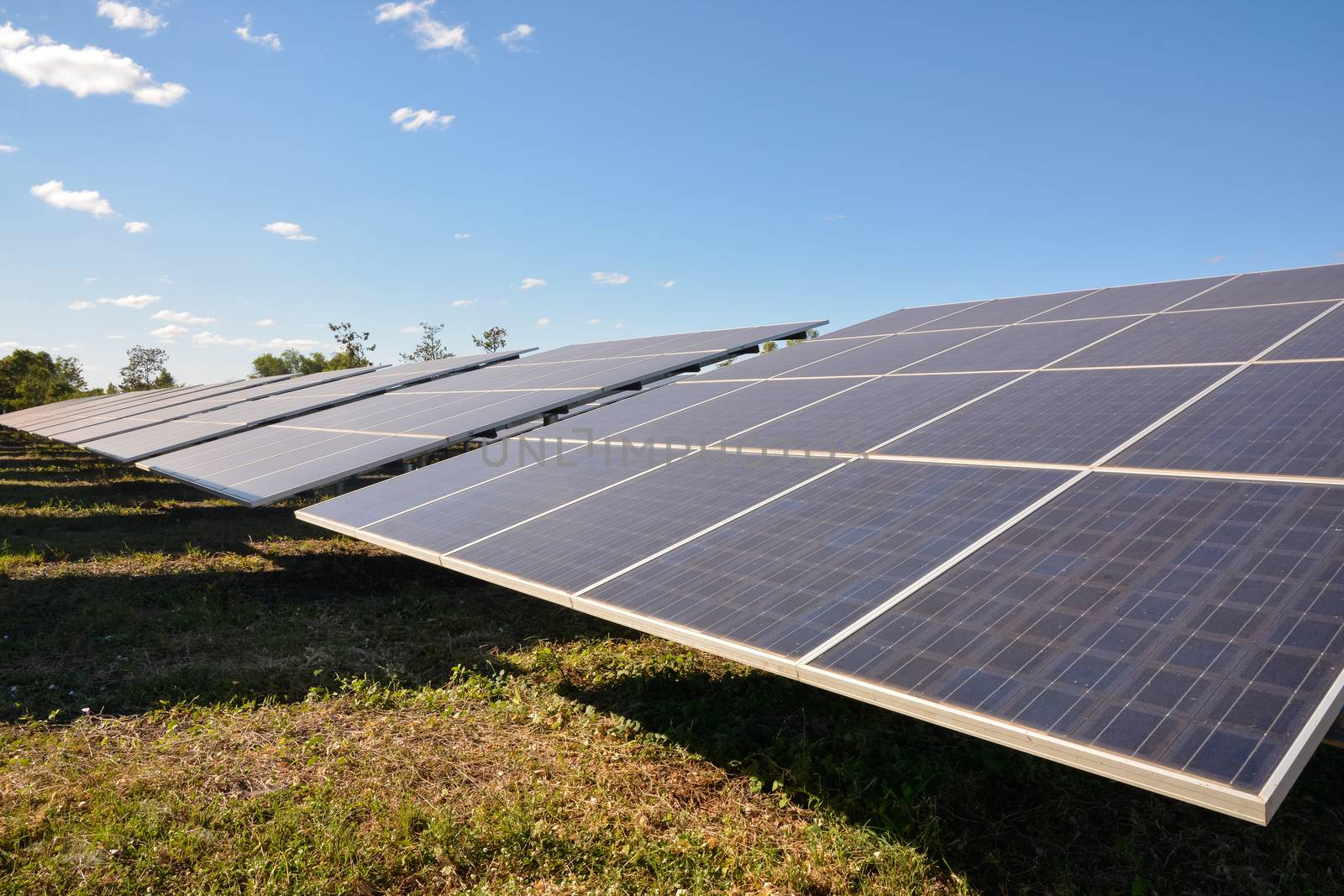 Photovoltaic solar energy panels for renewable electric production with blue sky