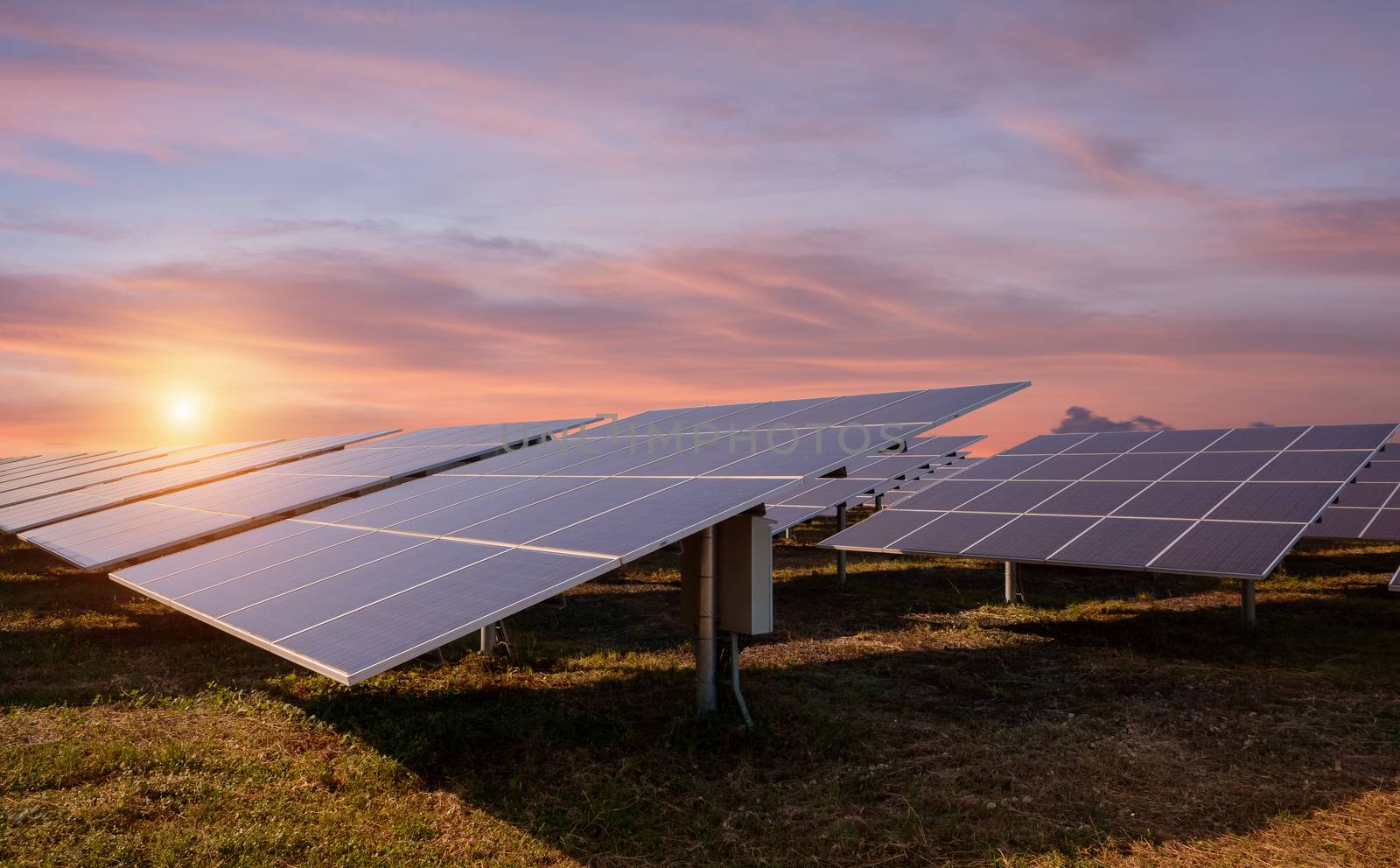 Photovoltaic solar energy panels and sunlight at sunset
