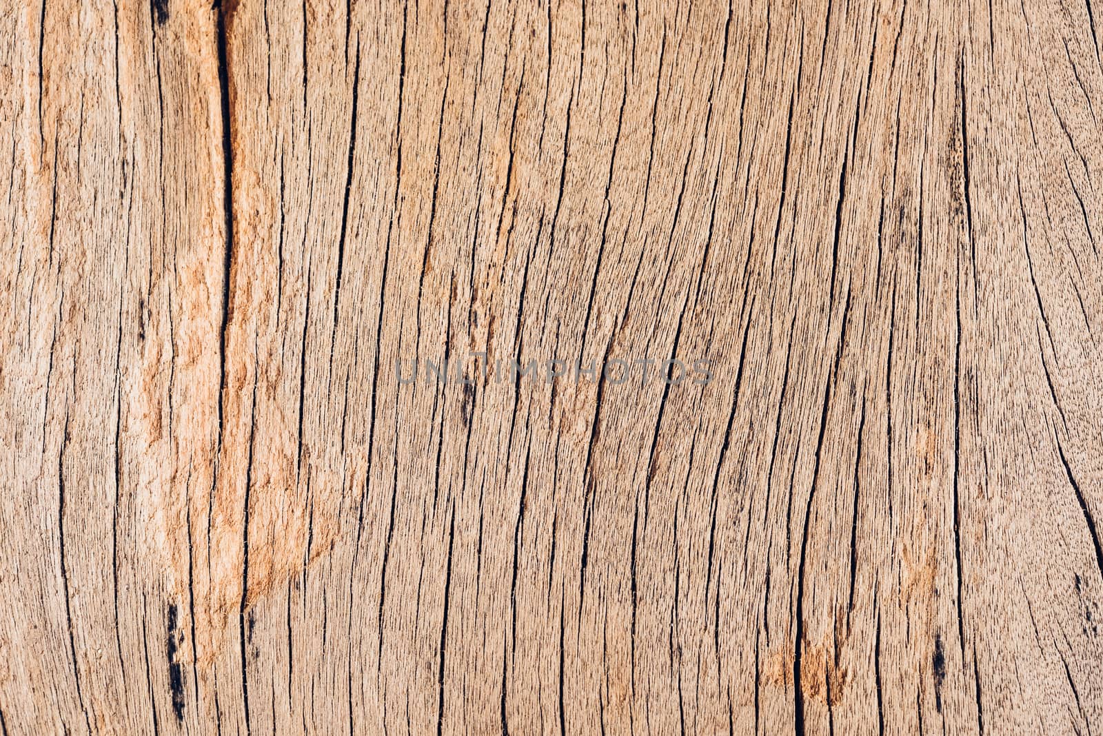 Old wood board, copy space wooden texture pattern background