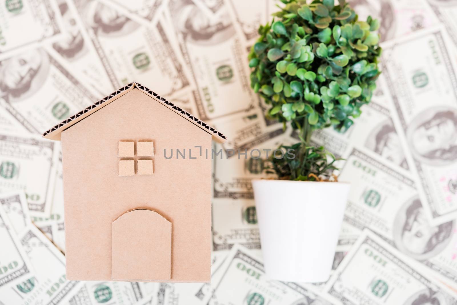 House cardboard model on dollar money, investment currency money concept