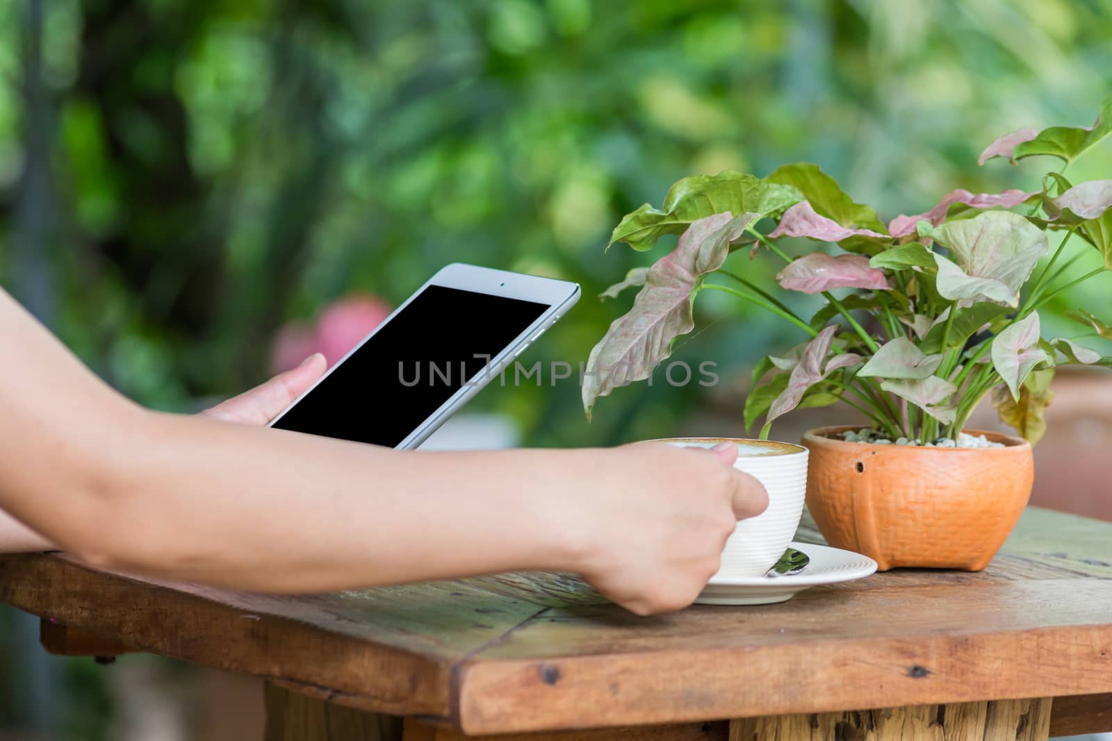 Close up of hands woman using tablet in cafe