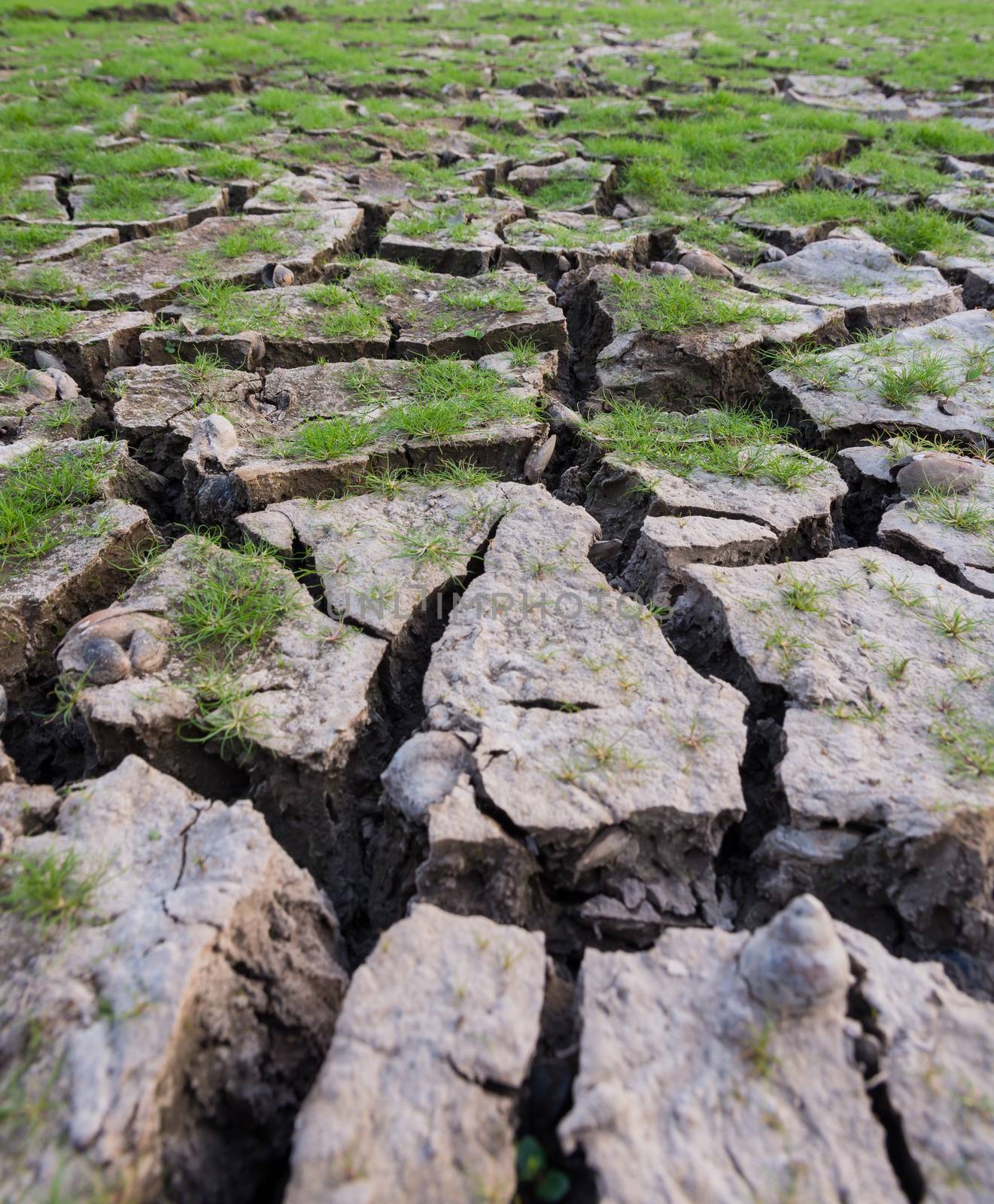 land with dry cracked mud ground by Sorapop