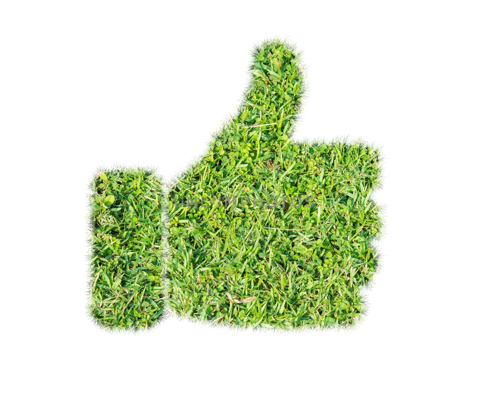 Green grass thumbs up icon on over white background