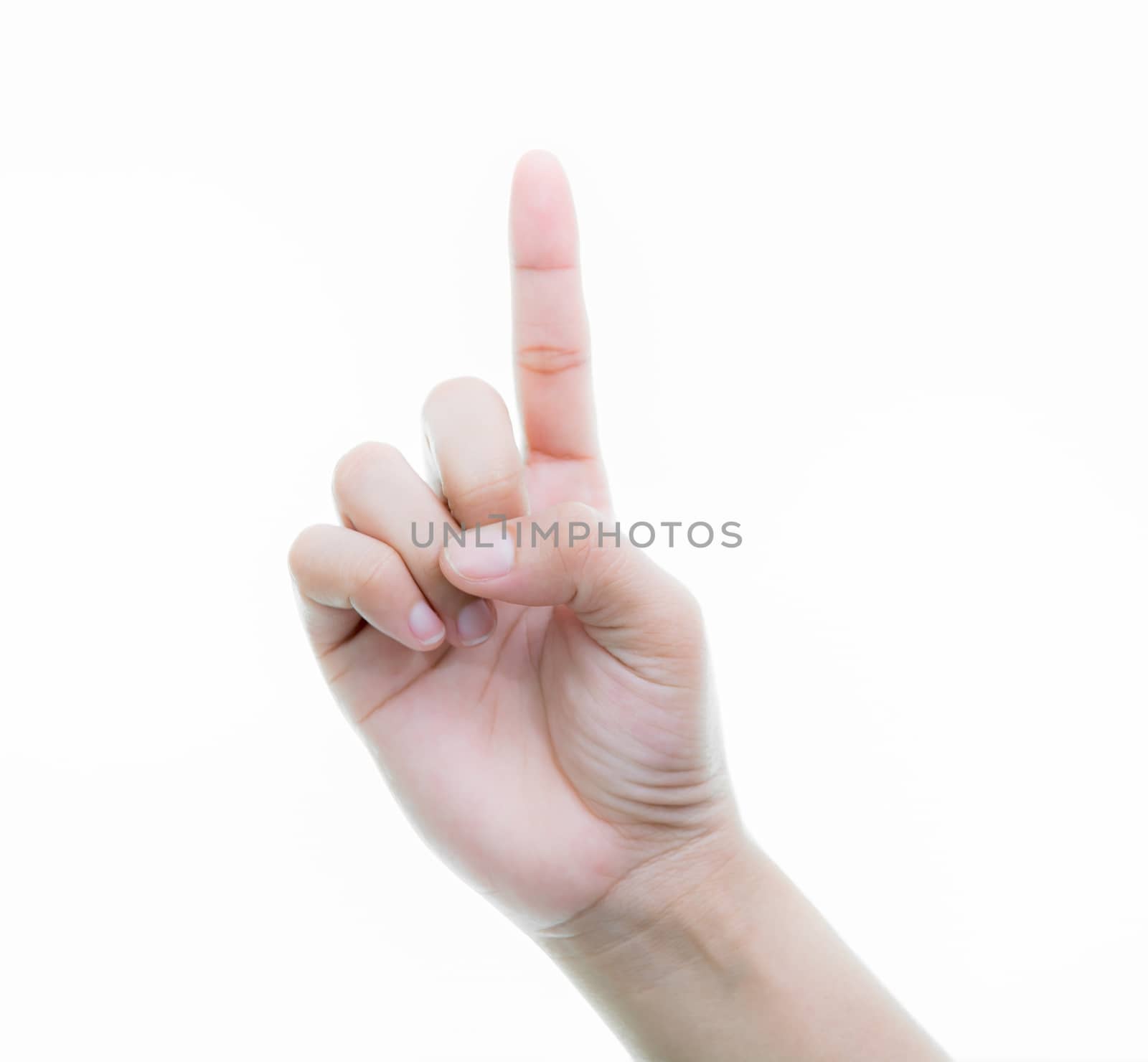 Woman hands holding isolate on over white backgrounds