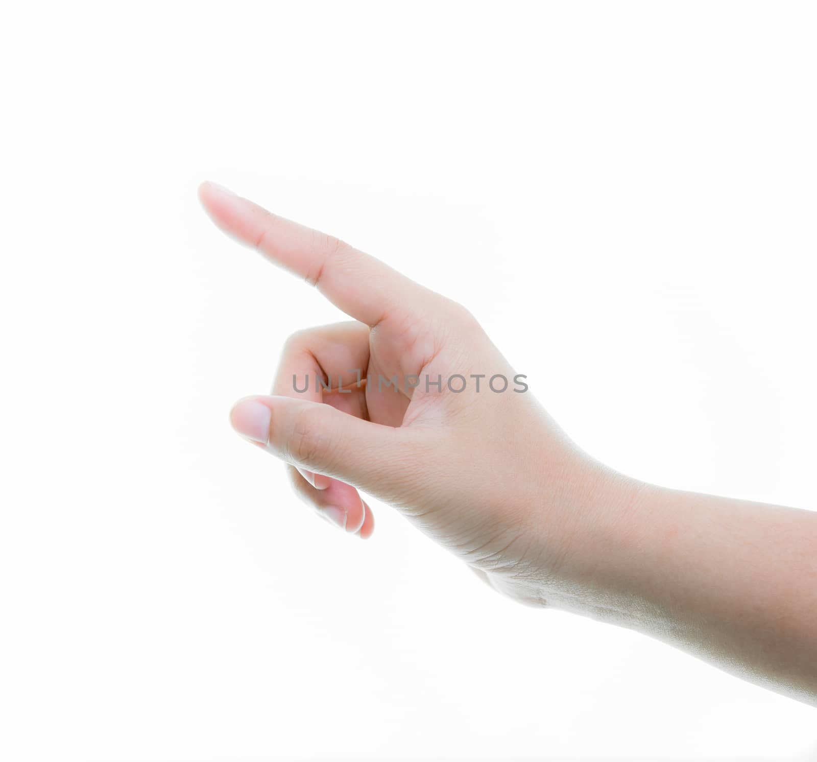 Woman hands holding isolate on over white backgrounds