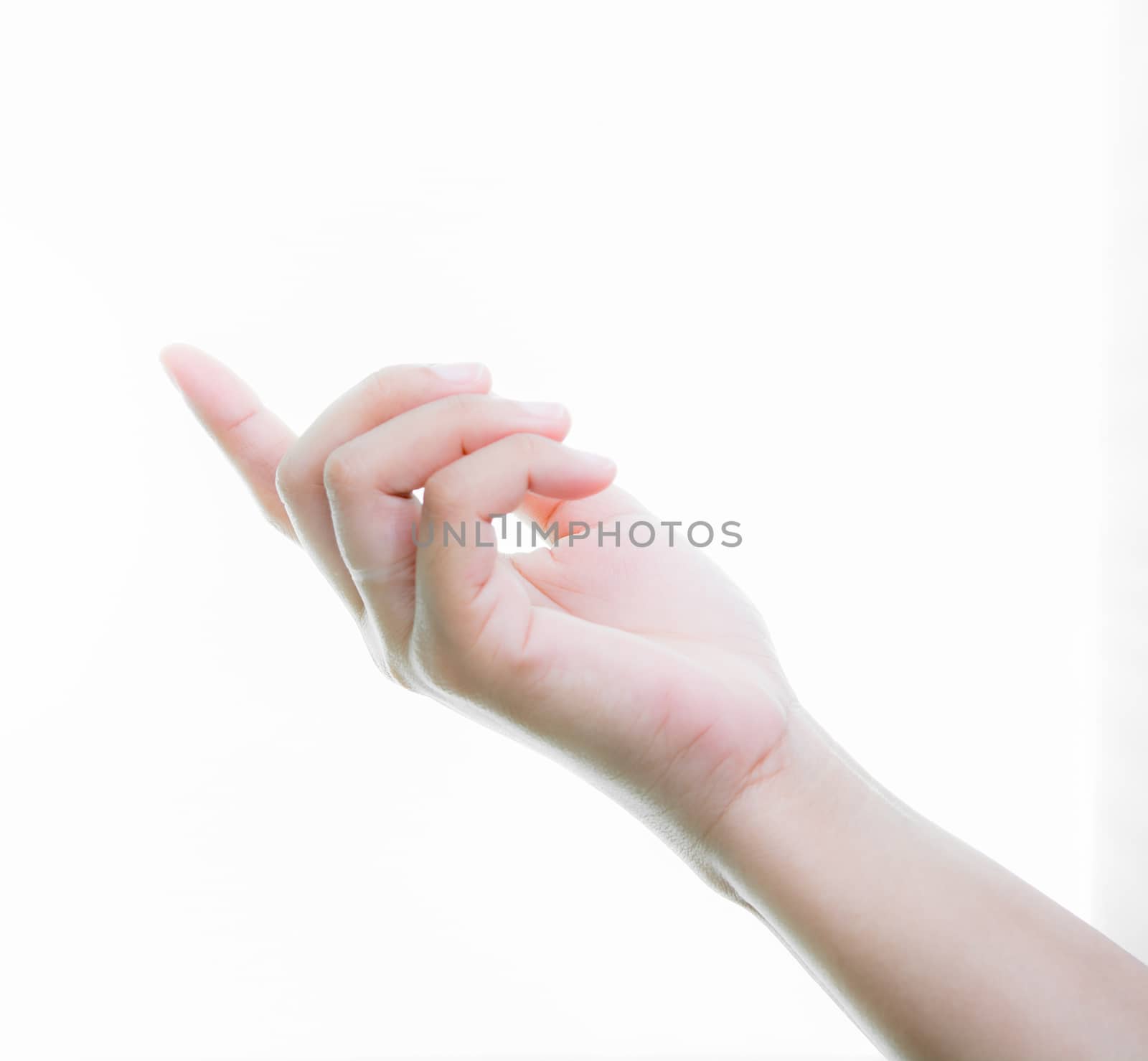 Woman hands holding isolate on over white backgrounds