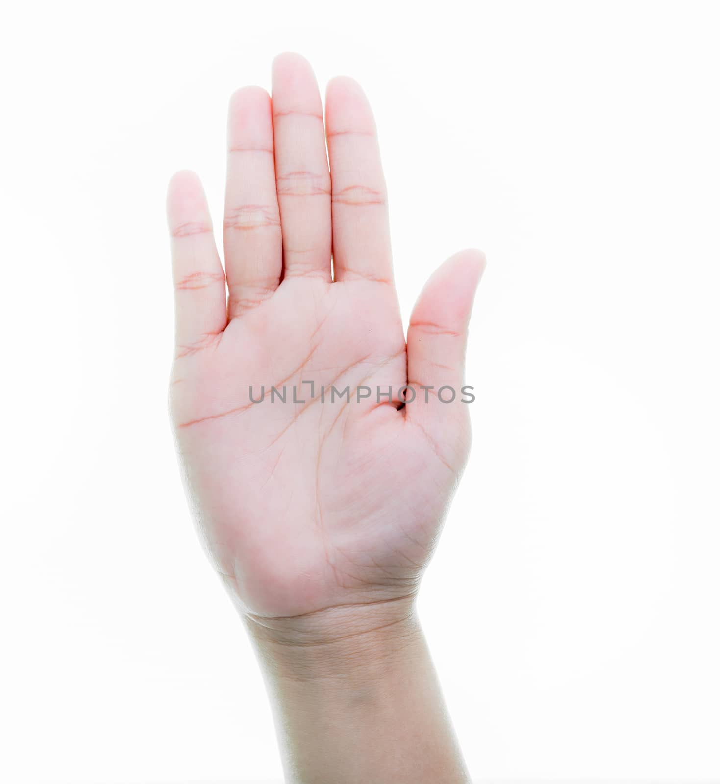 Woman hands holding isolate on over white backgrounds