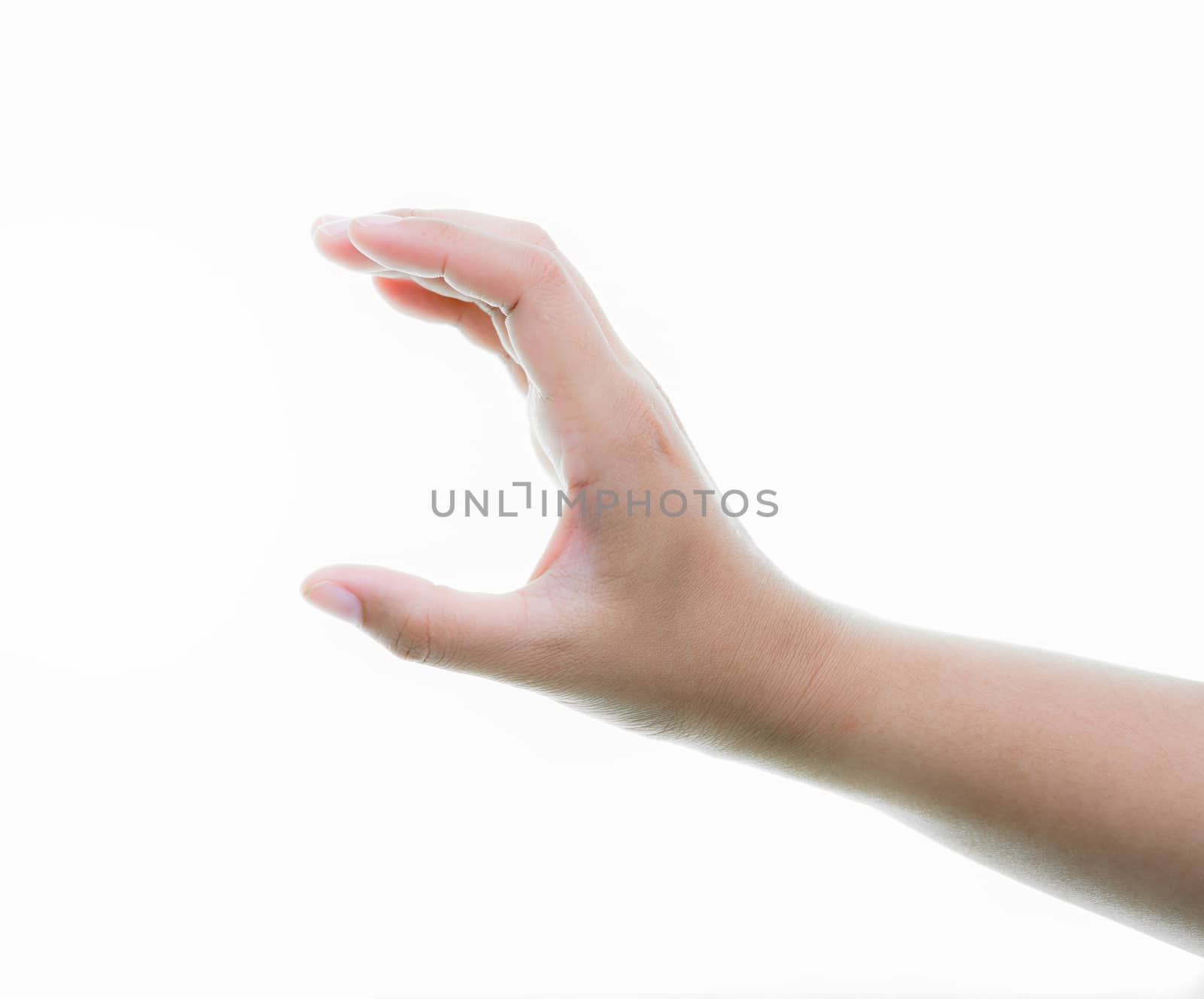 Woman hands holding isolate on over white backgrounds