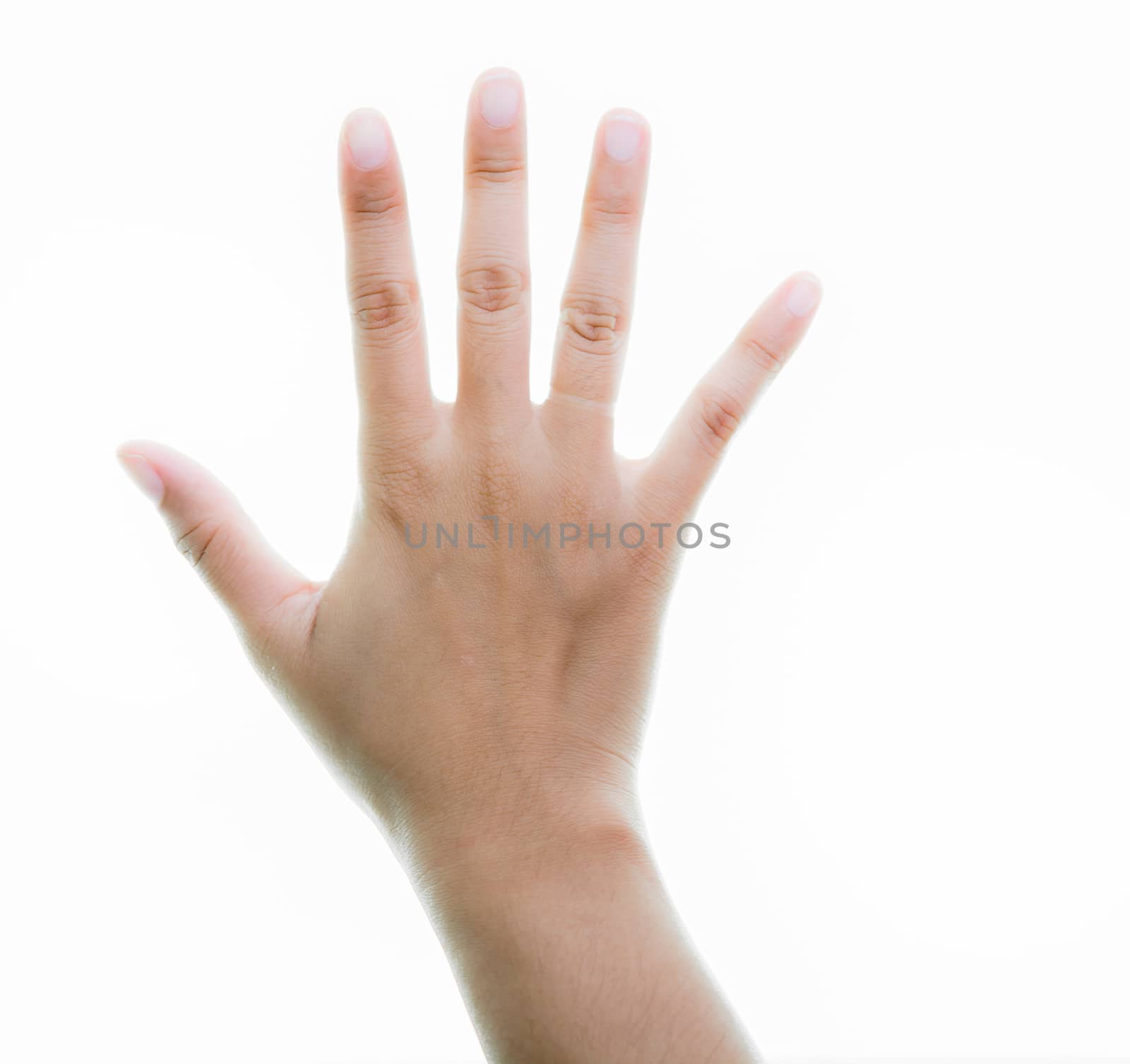 Woman hands holding isolate on over white backgrounds