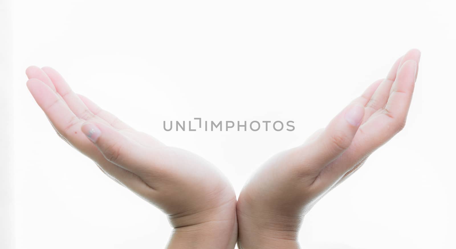 Woman hands holding isolate on over white backgrounds