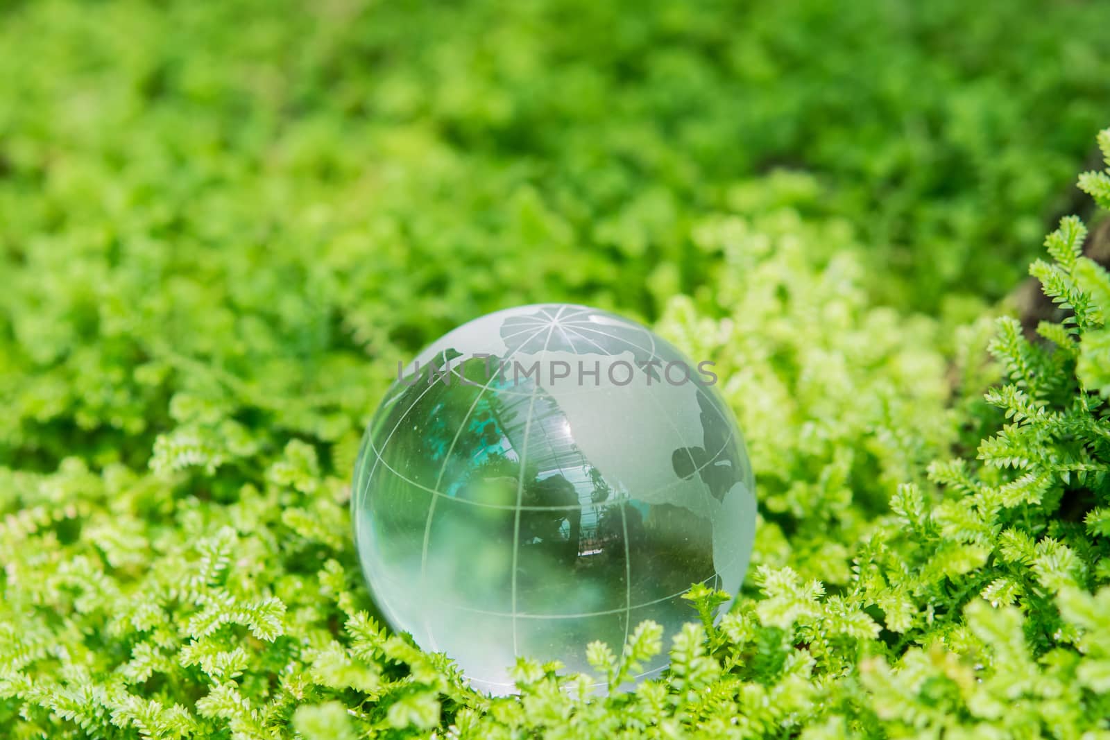 Environment concept glass globe in green grass