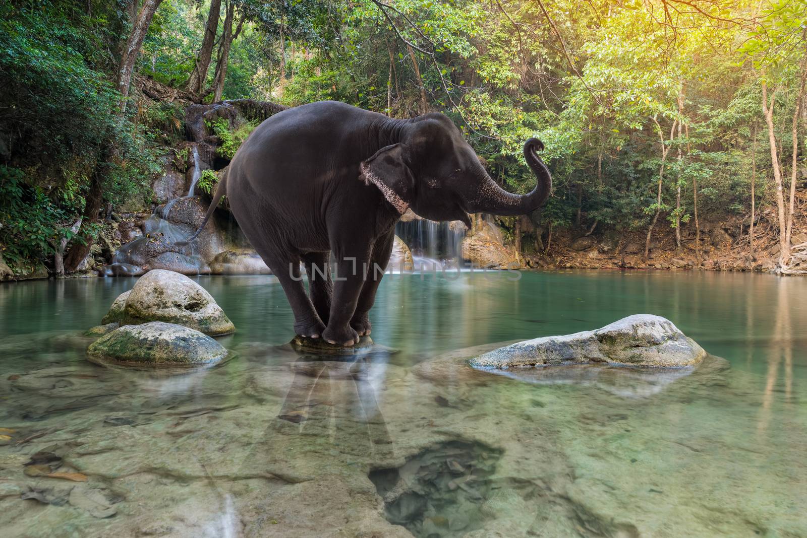 Erawan Waterfall with elephant at Kanchanaburi, Thailand