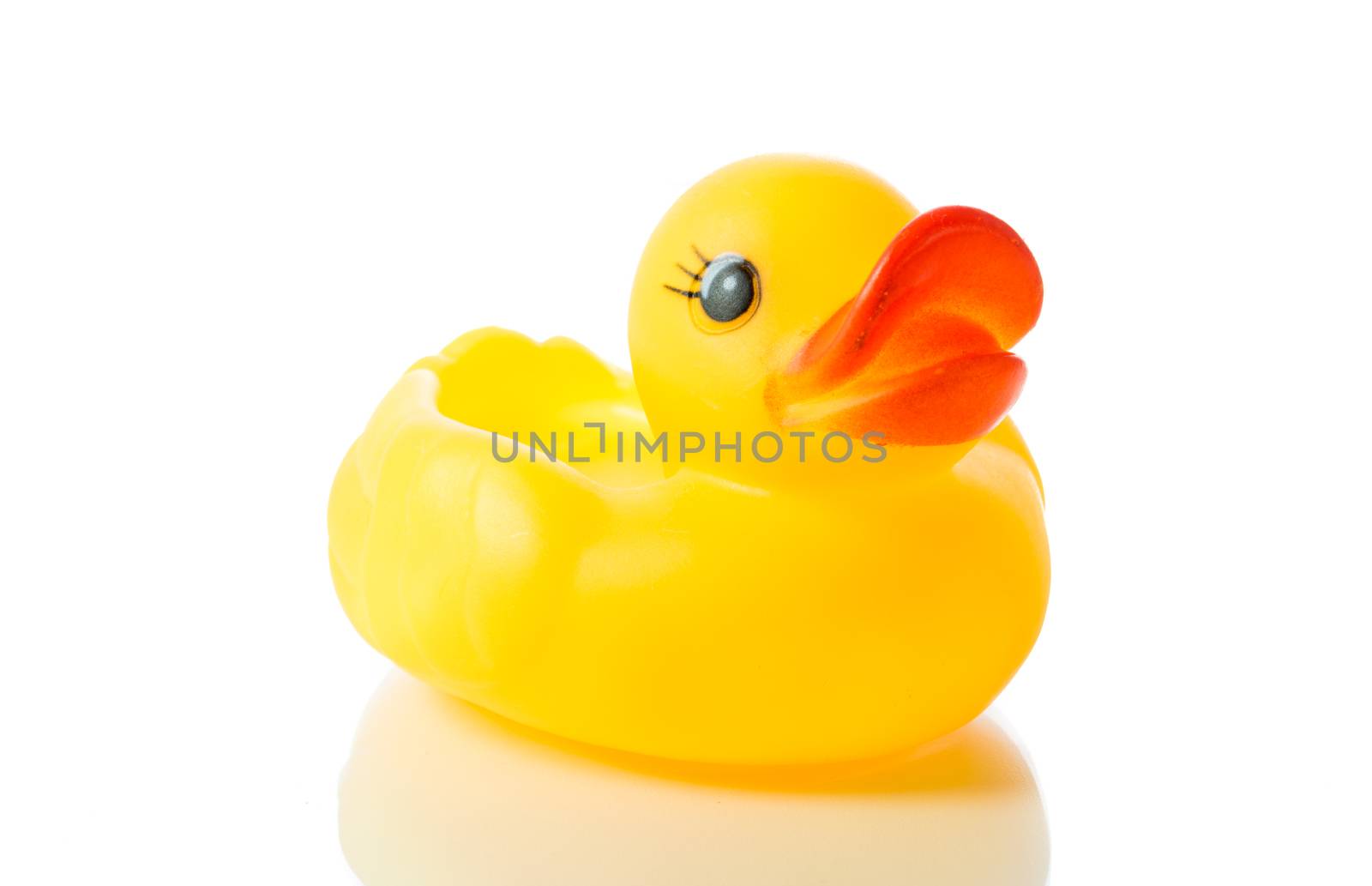 Yellow rubber duck isolate on over white background