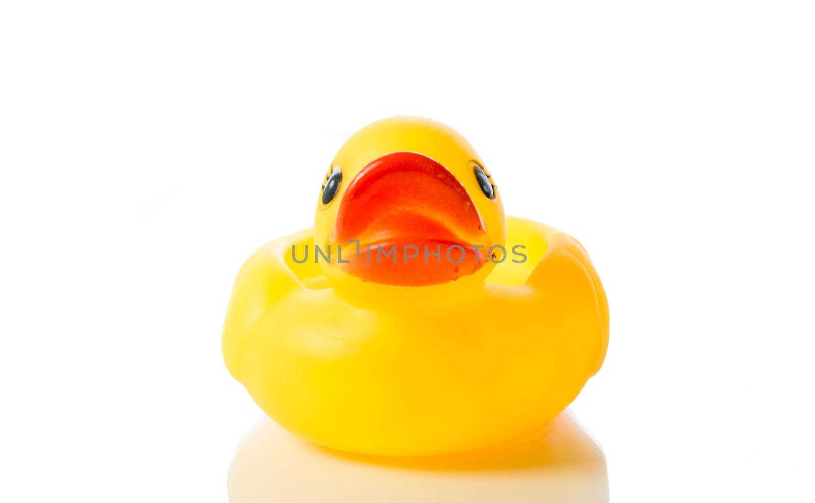 Yellow rubber duck isolate on over white background