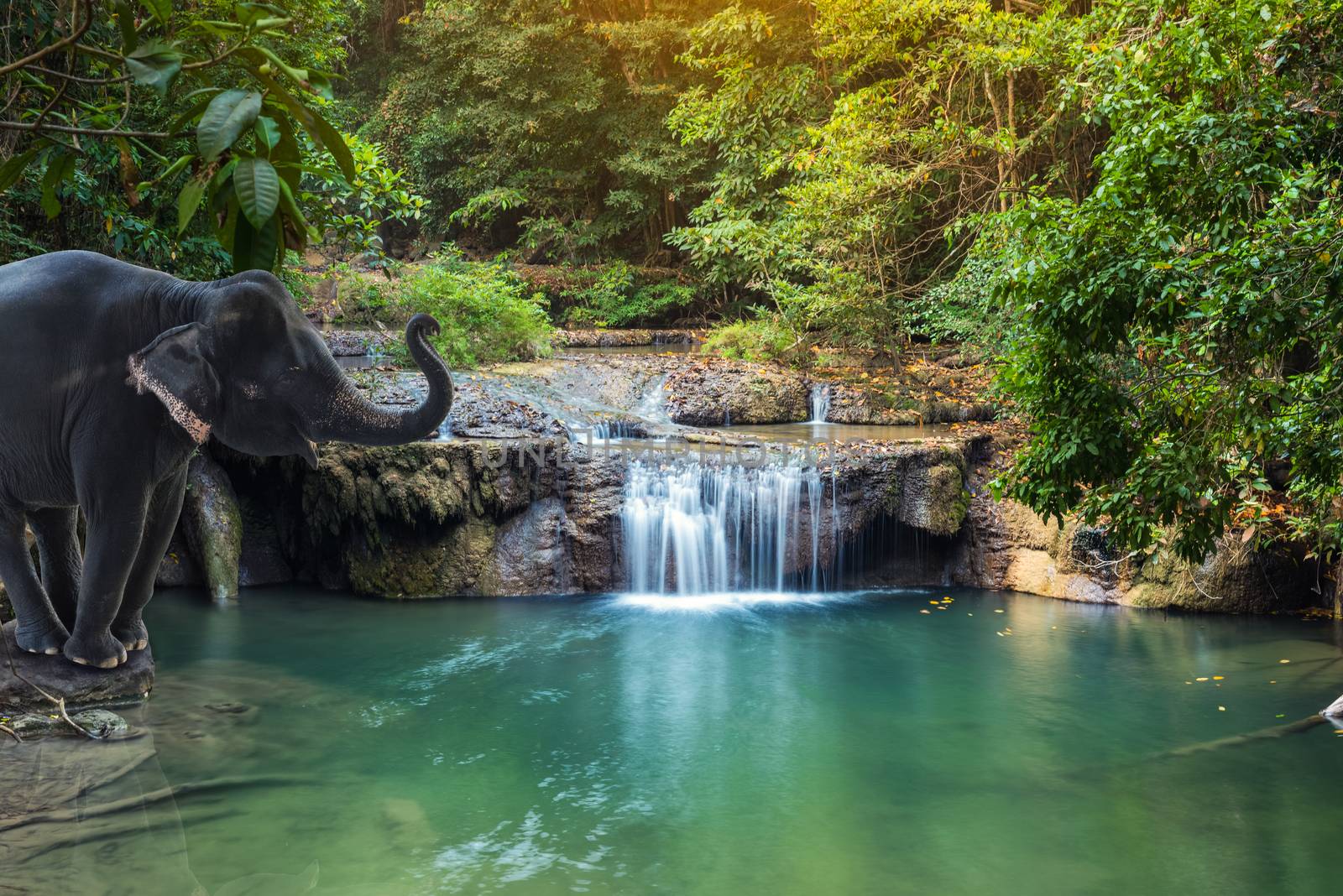 Erawan Waterfall with elephant at Kanchanaburi, Thailand