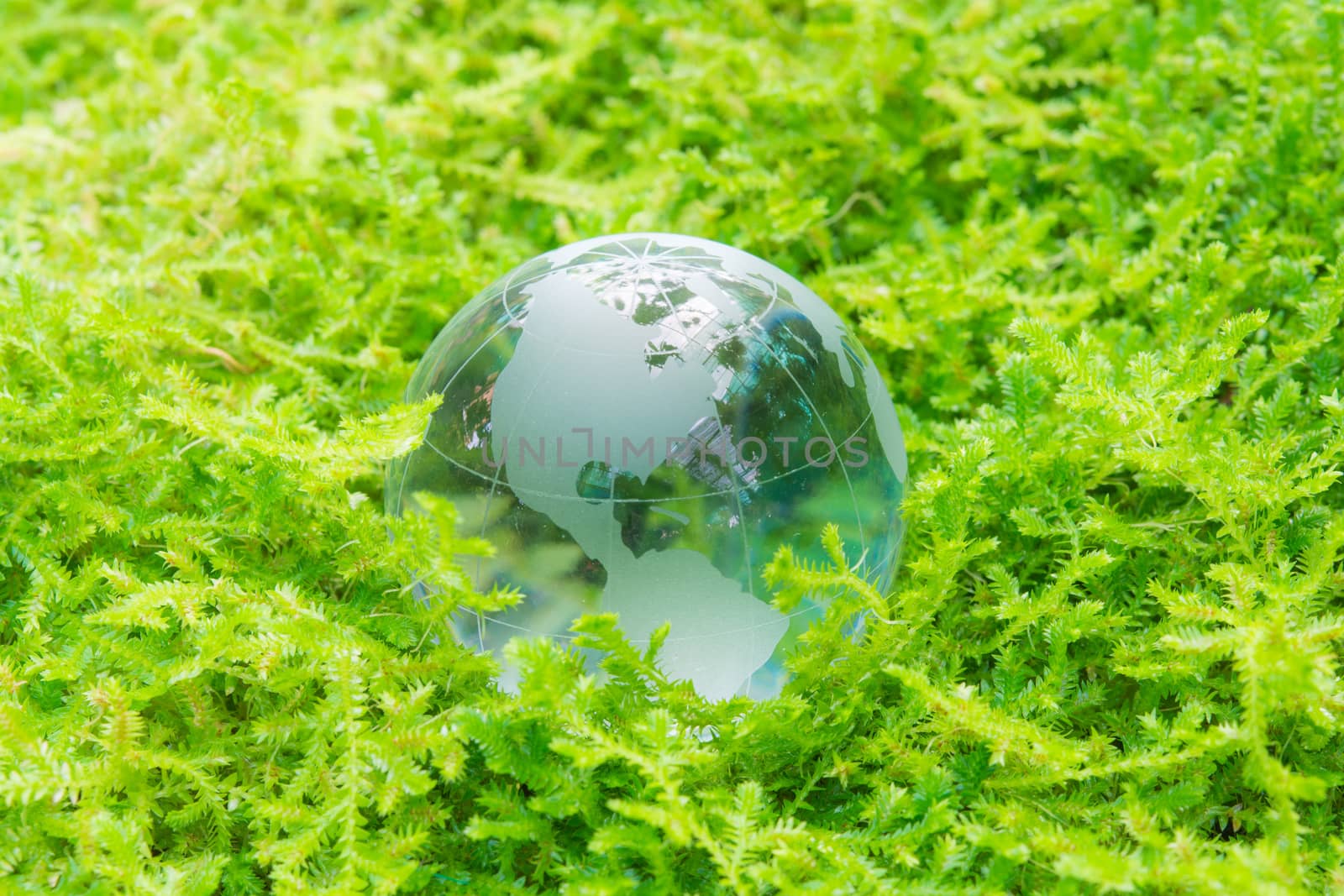Environment concept glass globe in green grass