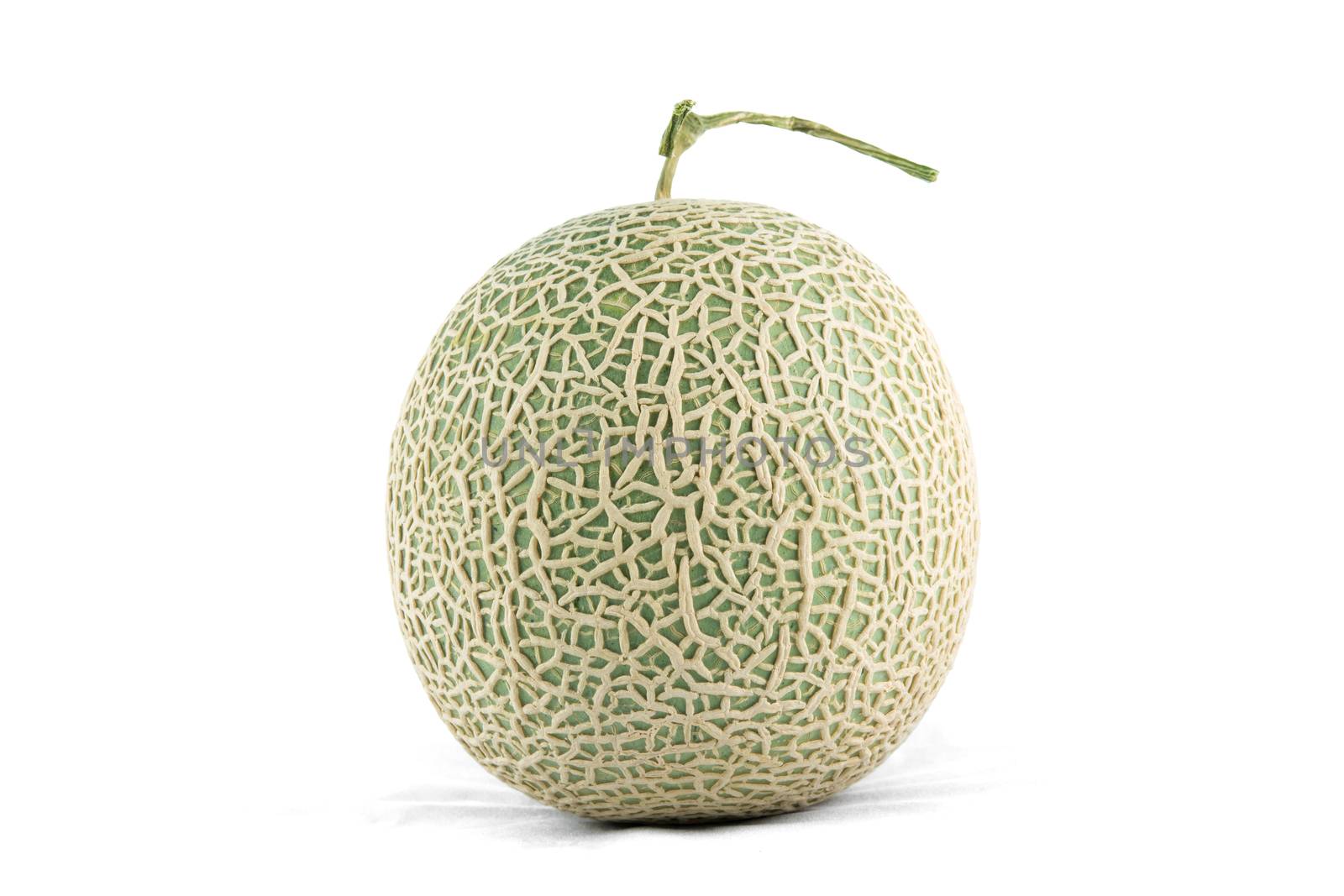 cantaloupe melon isolate on a white background