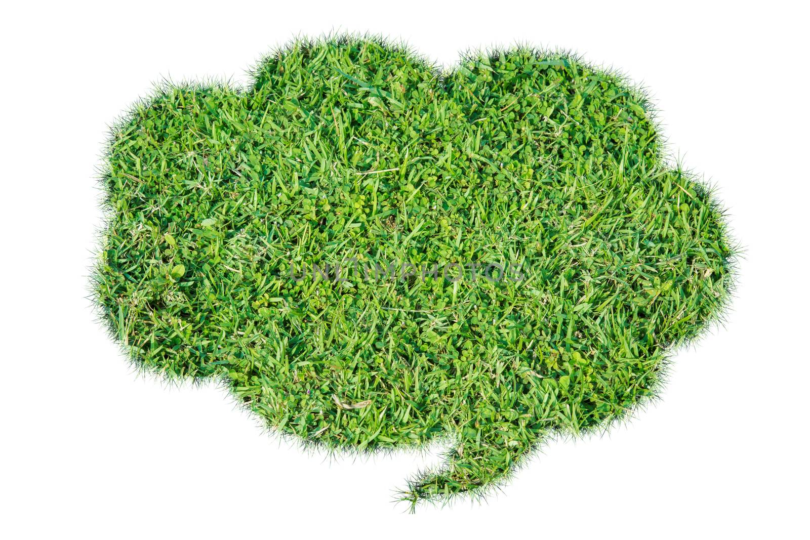 Abstract green grass bubble talk isolate on over white background