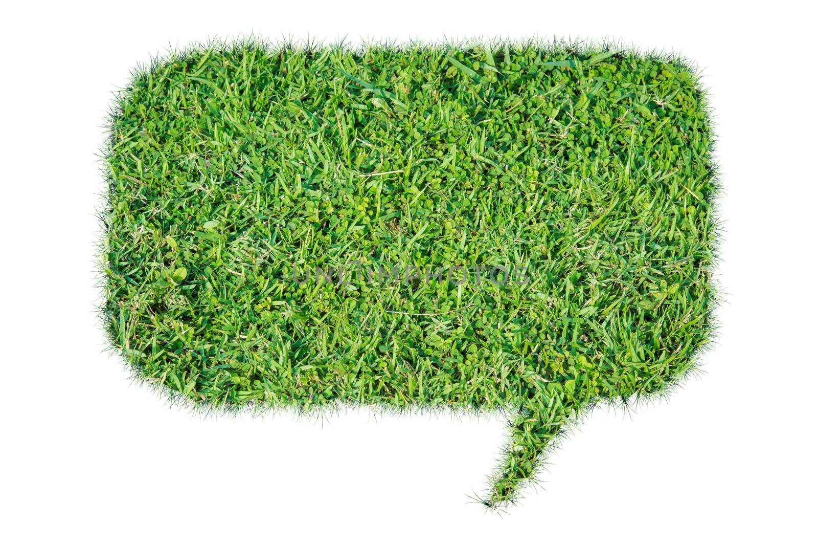 Abstract green grass bubble talk isolate on over white background