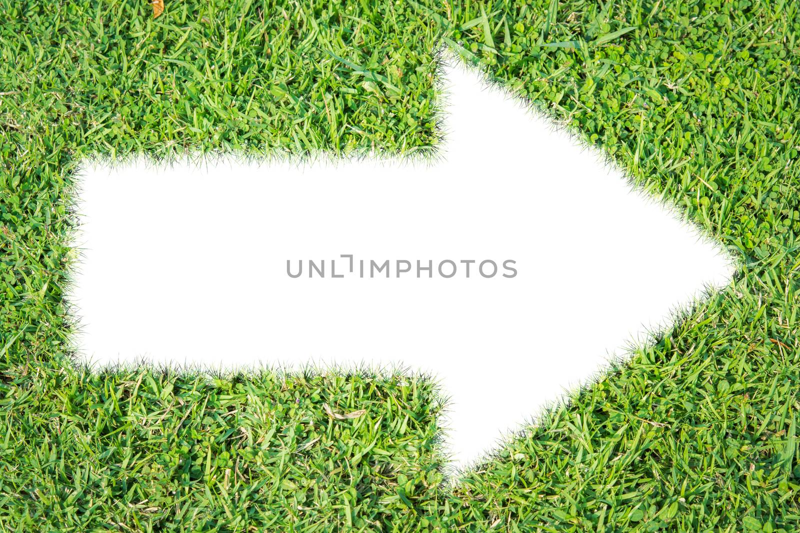 Green grass ecological arrow icon on over white background