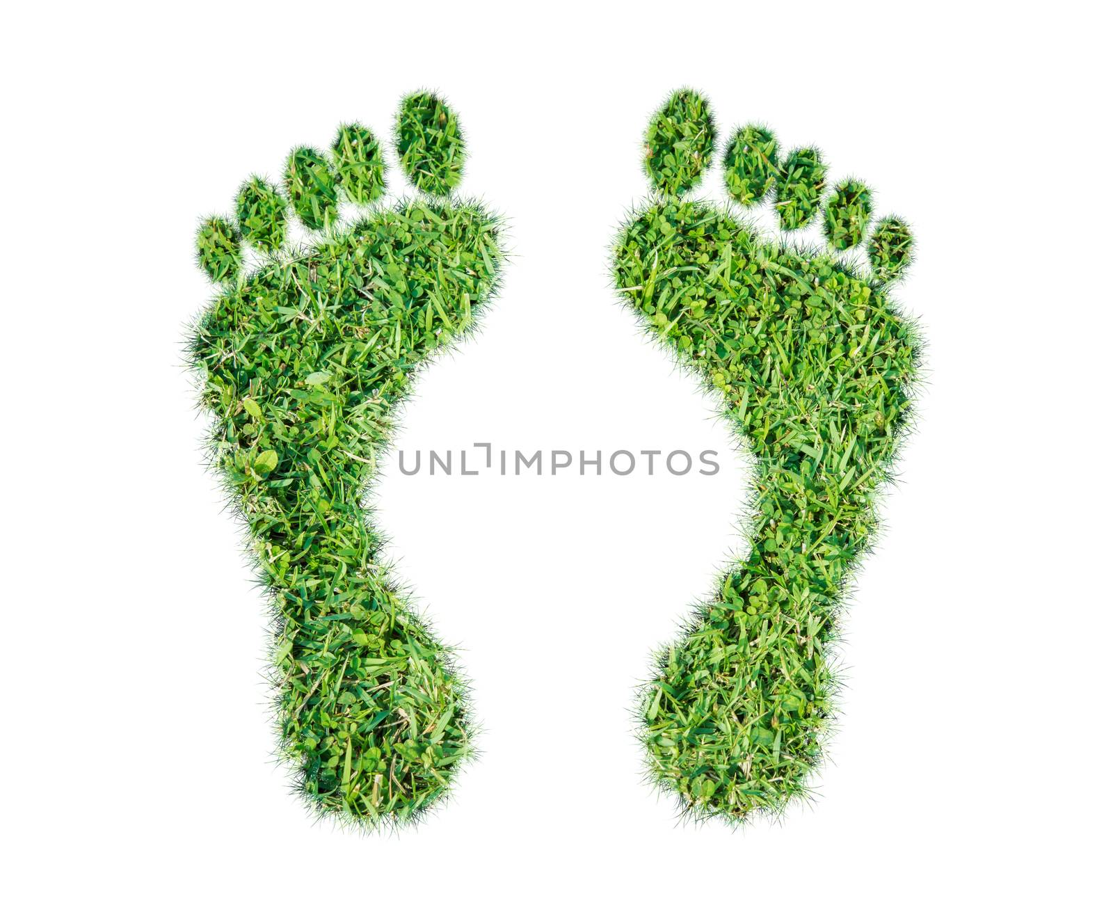 Green grass ecological footprint concept on over white background