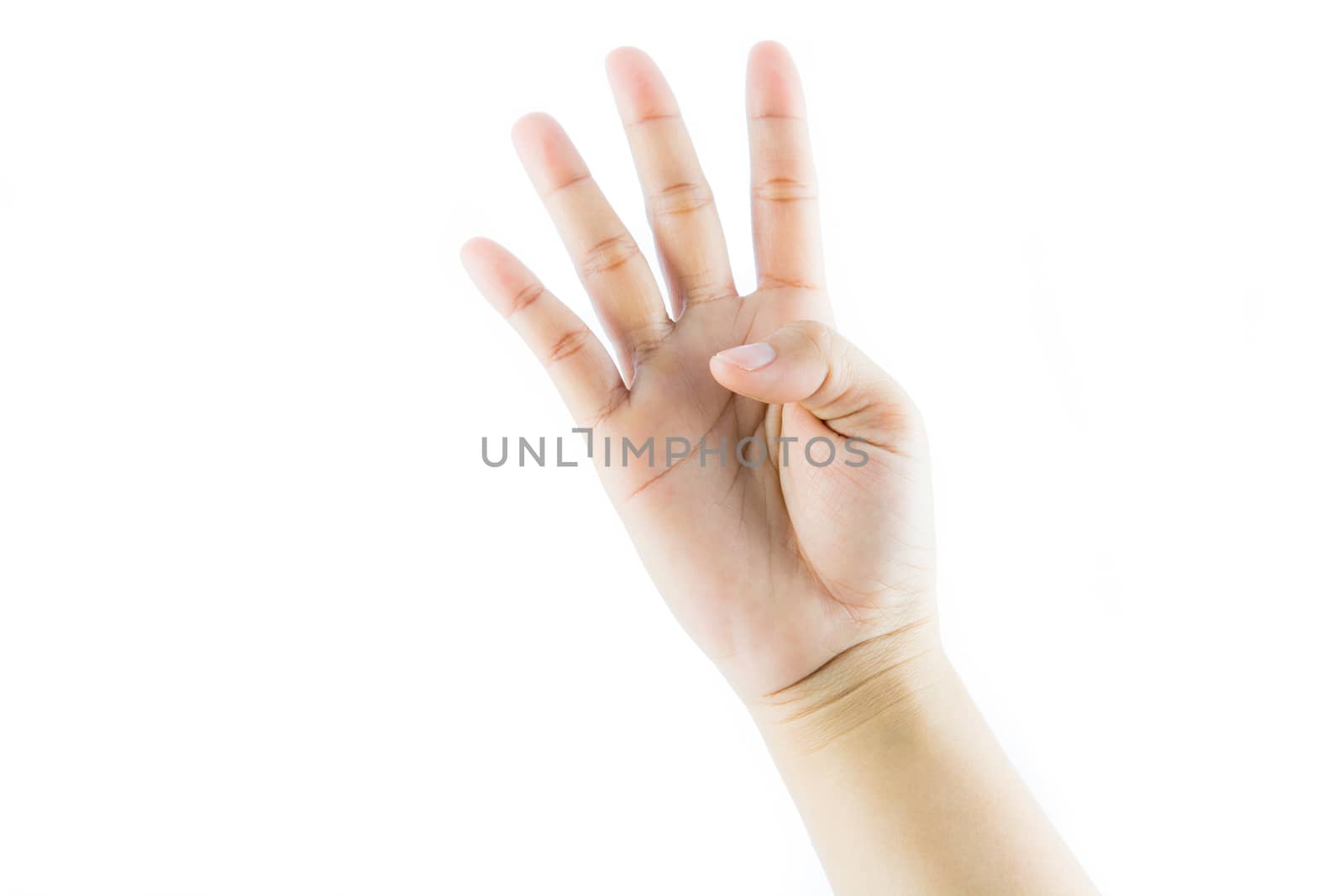 Hand gesture number four isolate on white background