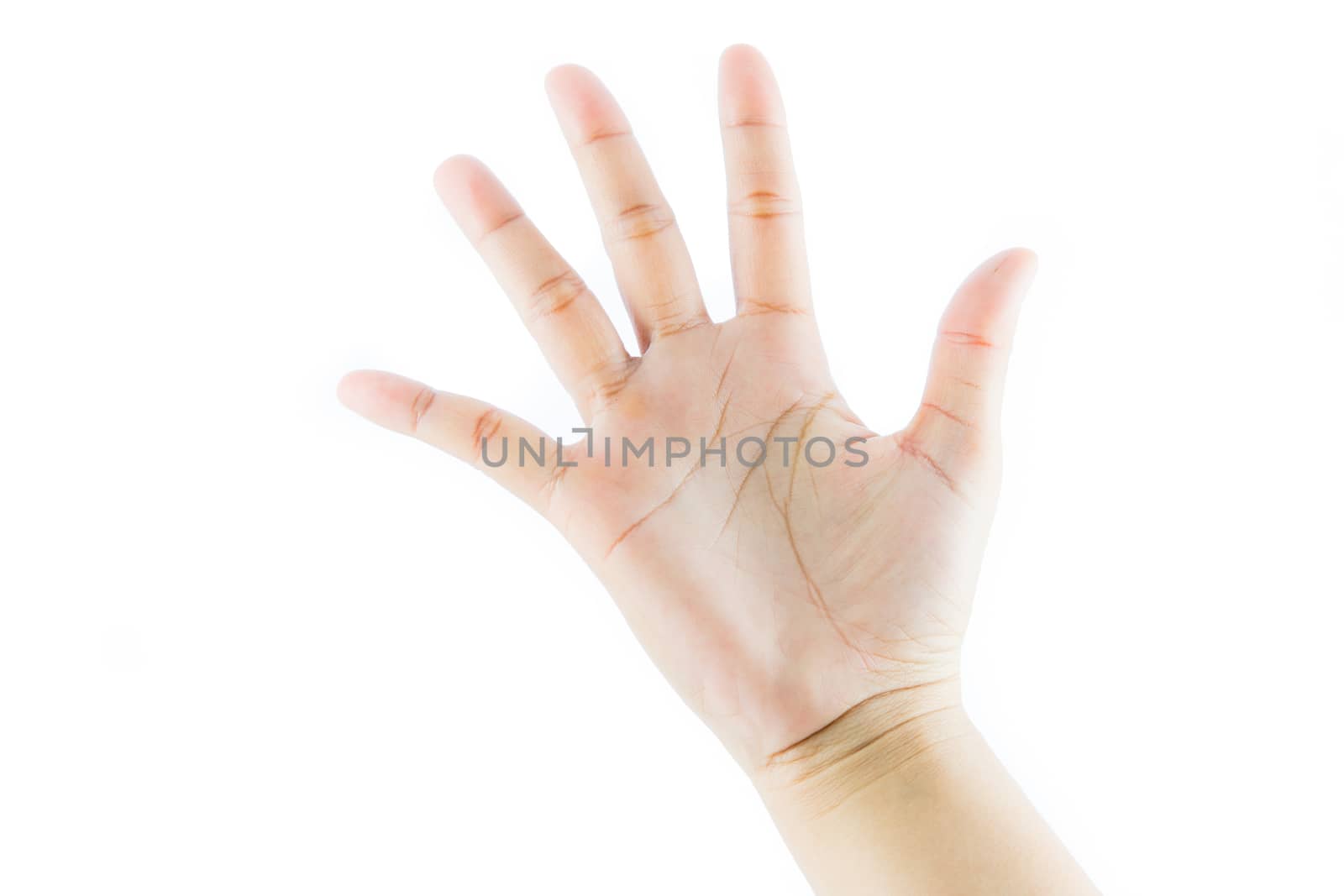 Hand gesture number five isolate on white background