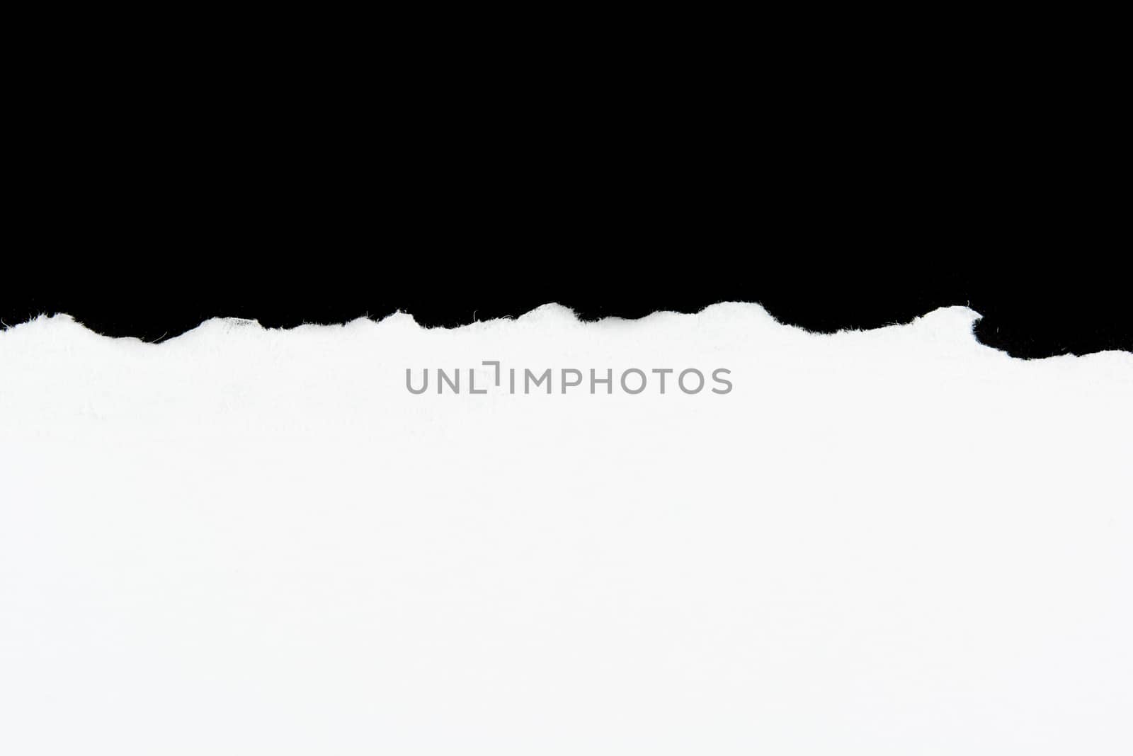tear white paper pieces of paper on black background