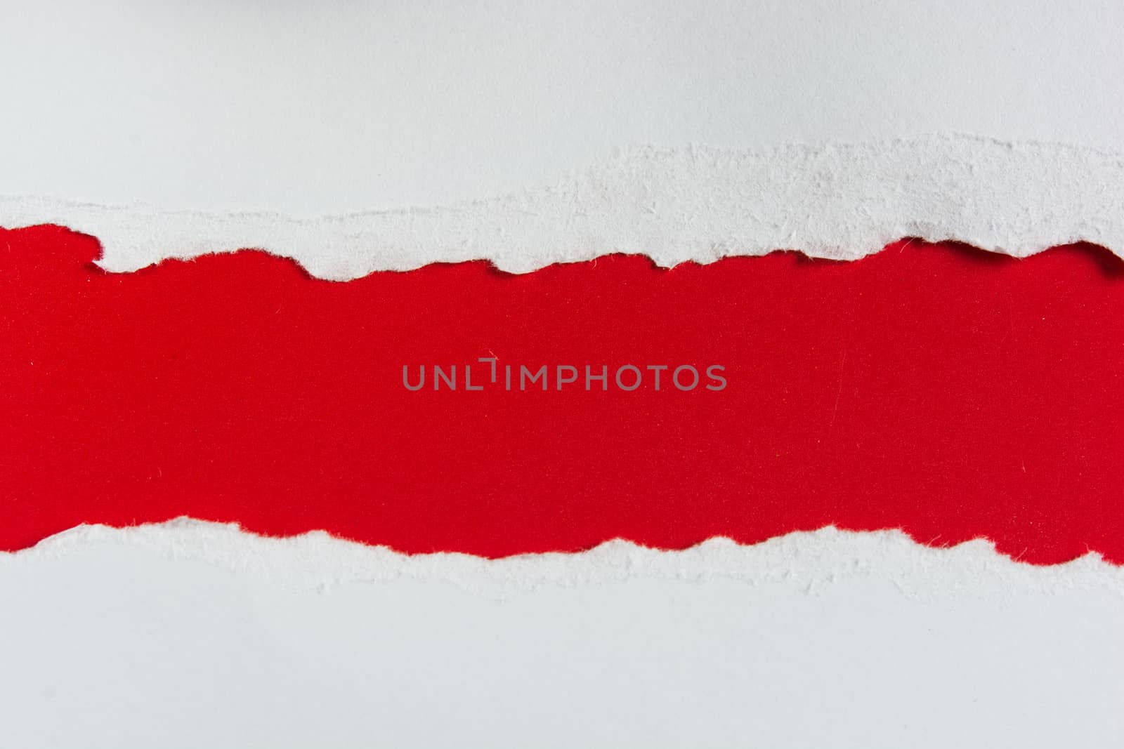 tear red paper pieces of paper on white background