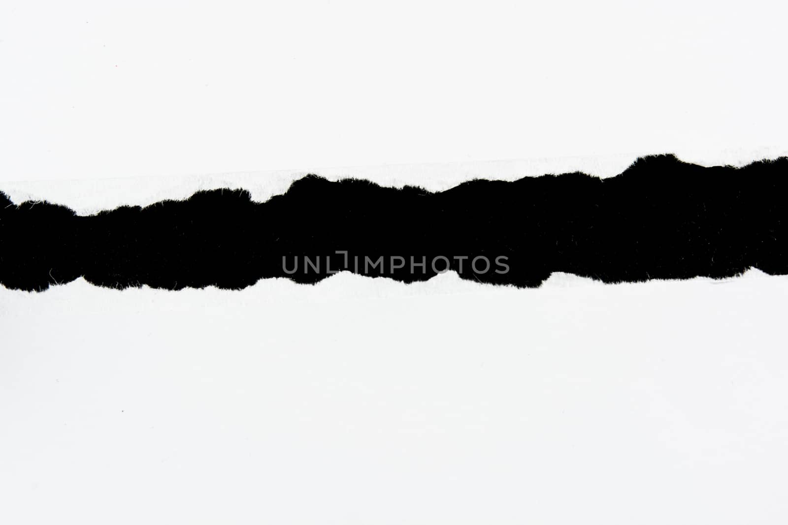 tear white paper pieces of paper on black background