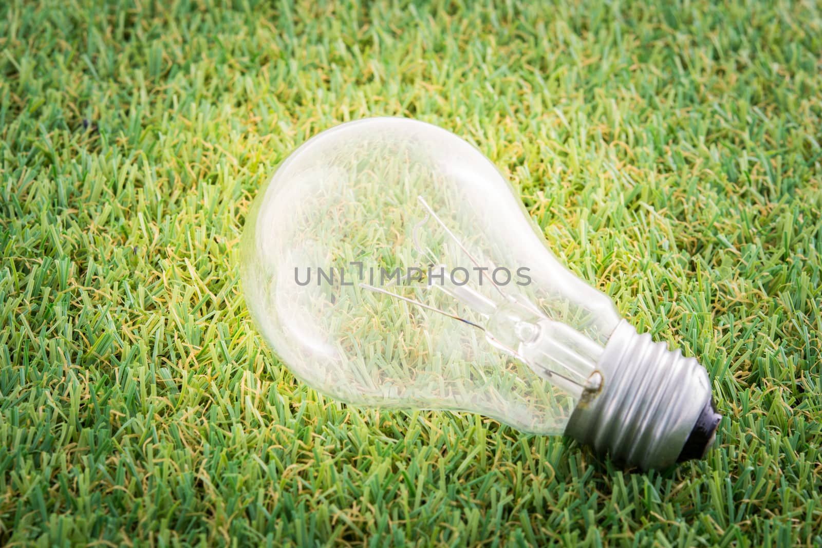 Energy saving light lamp bulb concept on green grass background