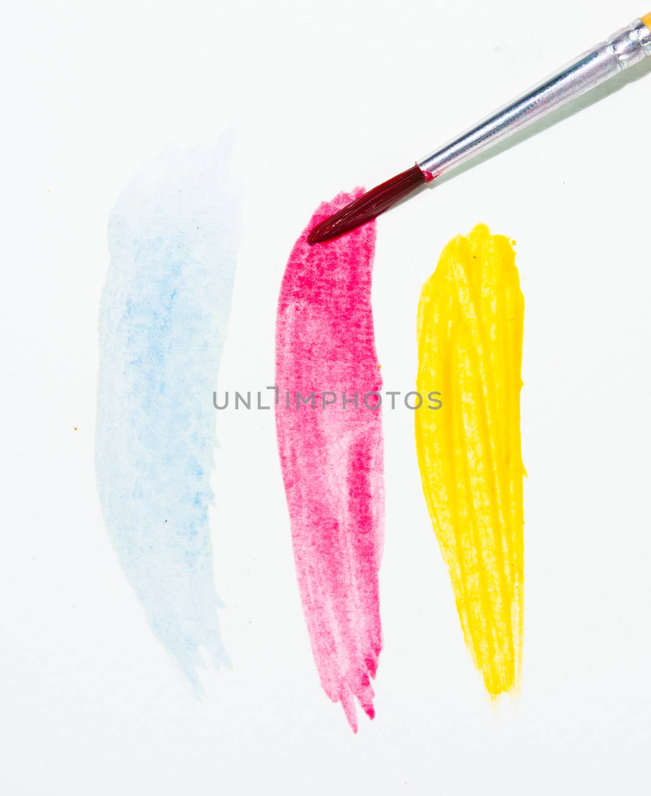 Paints and brushes color water on white background