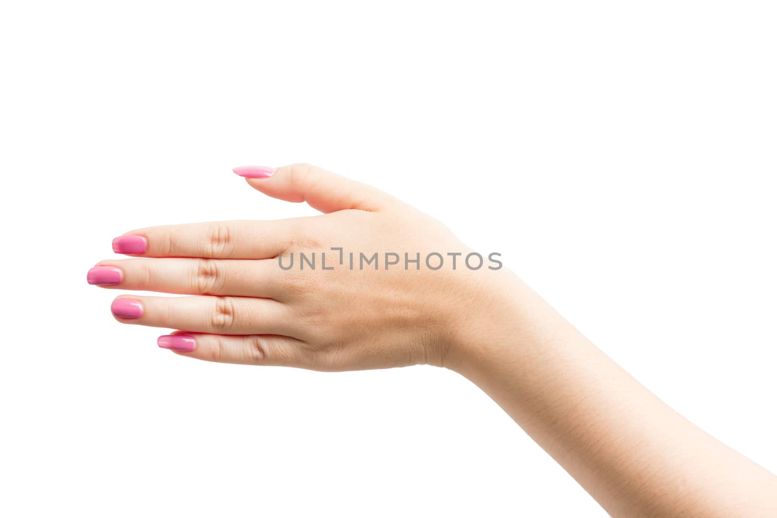 Woman Hands gestures on over white background