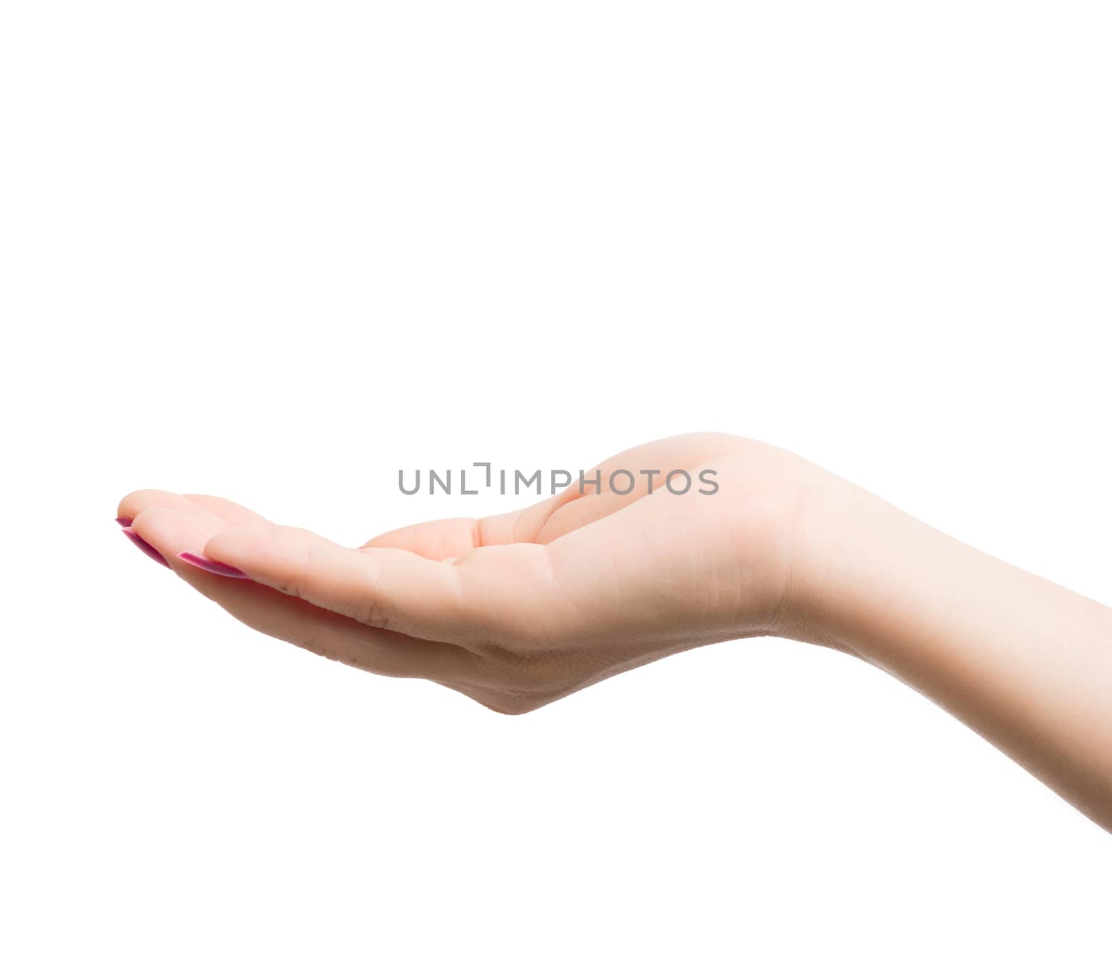 Woman Hands gestures on over white background