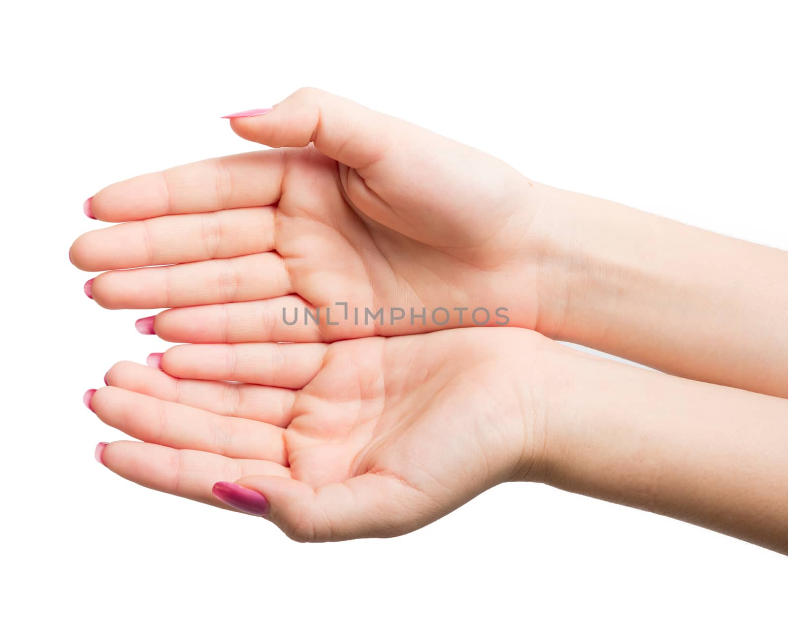Woman Hands gestures on over white background