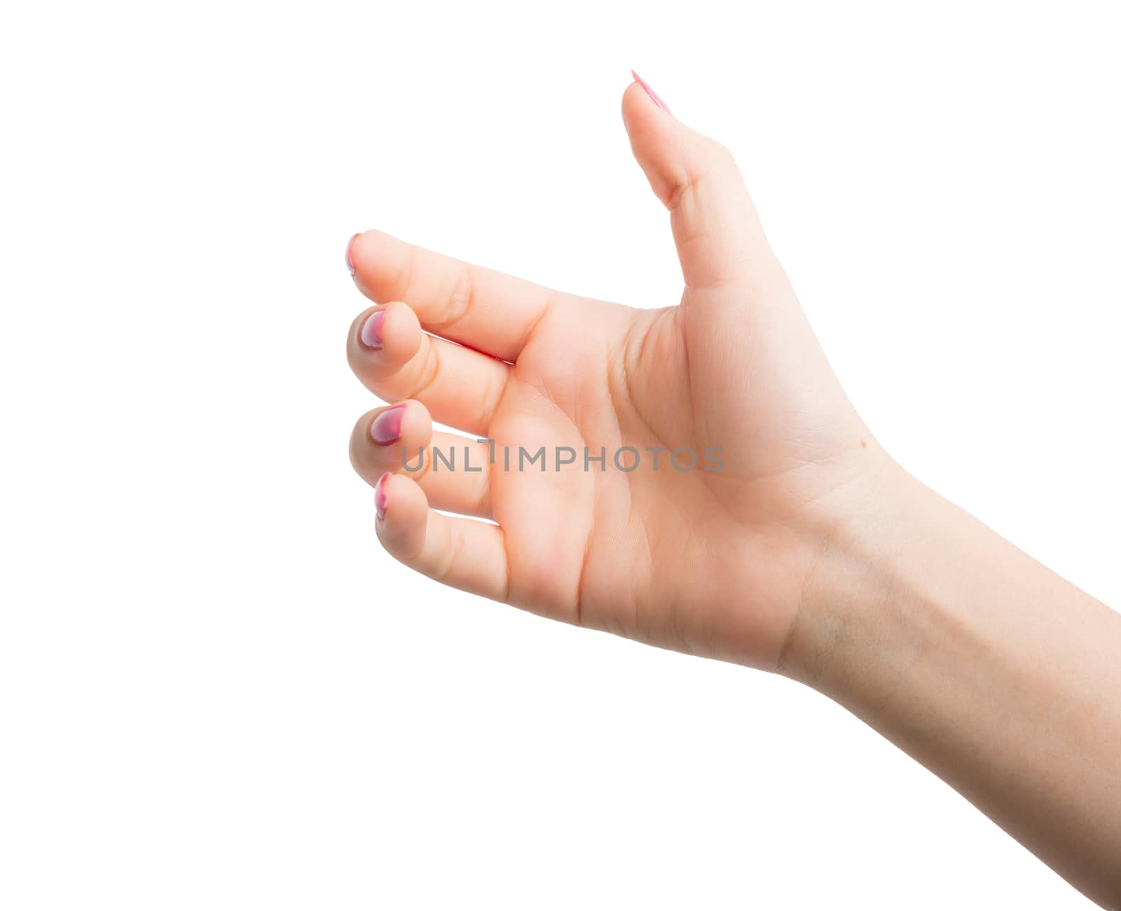 Woman Hands gestures on over white background