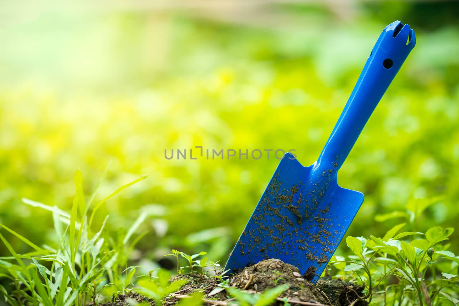 Yard garden tools and vegetable garden. Trowel stuck in the ground and morning sunlight at organic farm. Concept of agriculture. Closeup and copy space for text.